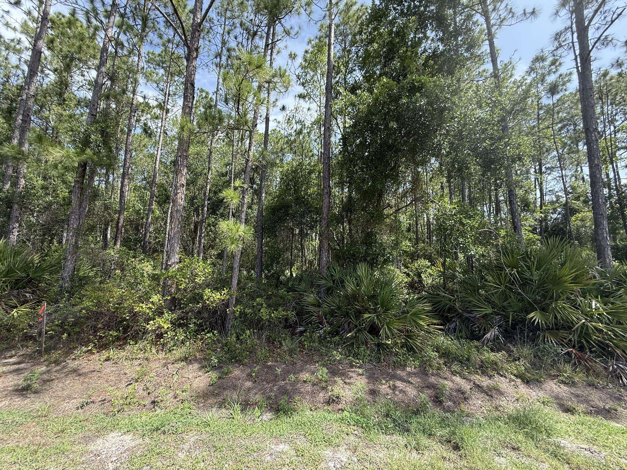 Palatka, FL 32177,178 Millican RD