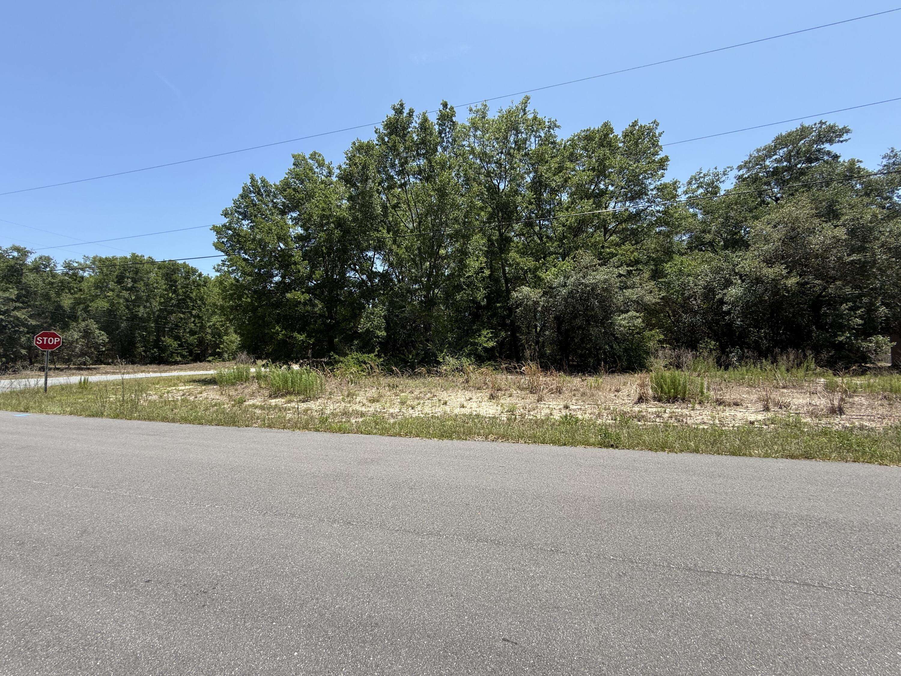 Citrus Springs, FL 34434,11064 N Academy DR