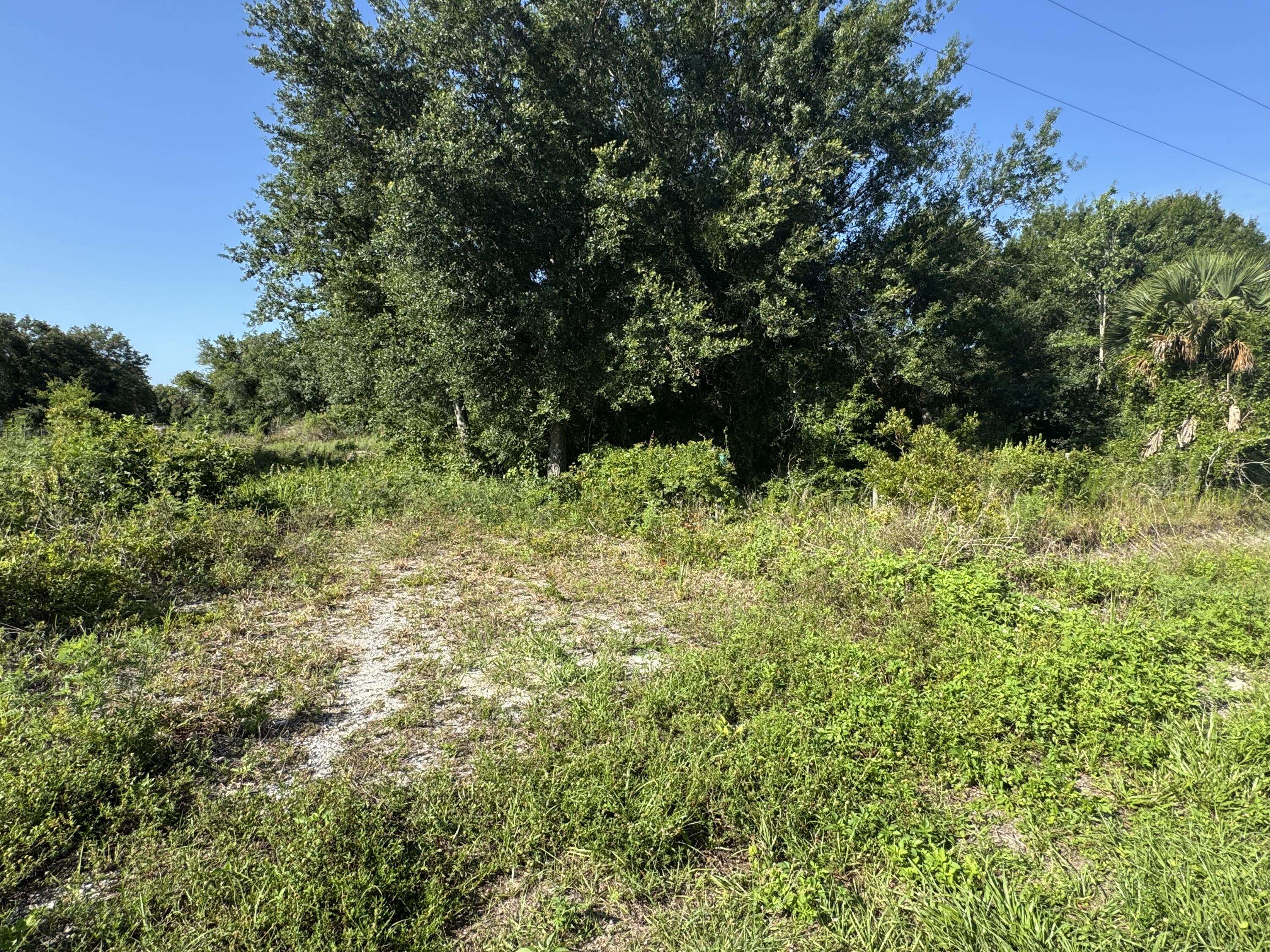 Okeechobee, FL 34972,19630 NW 250th ST