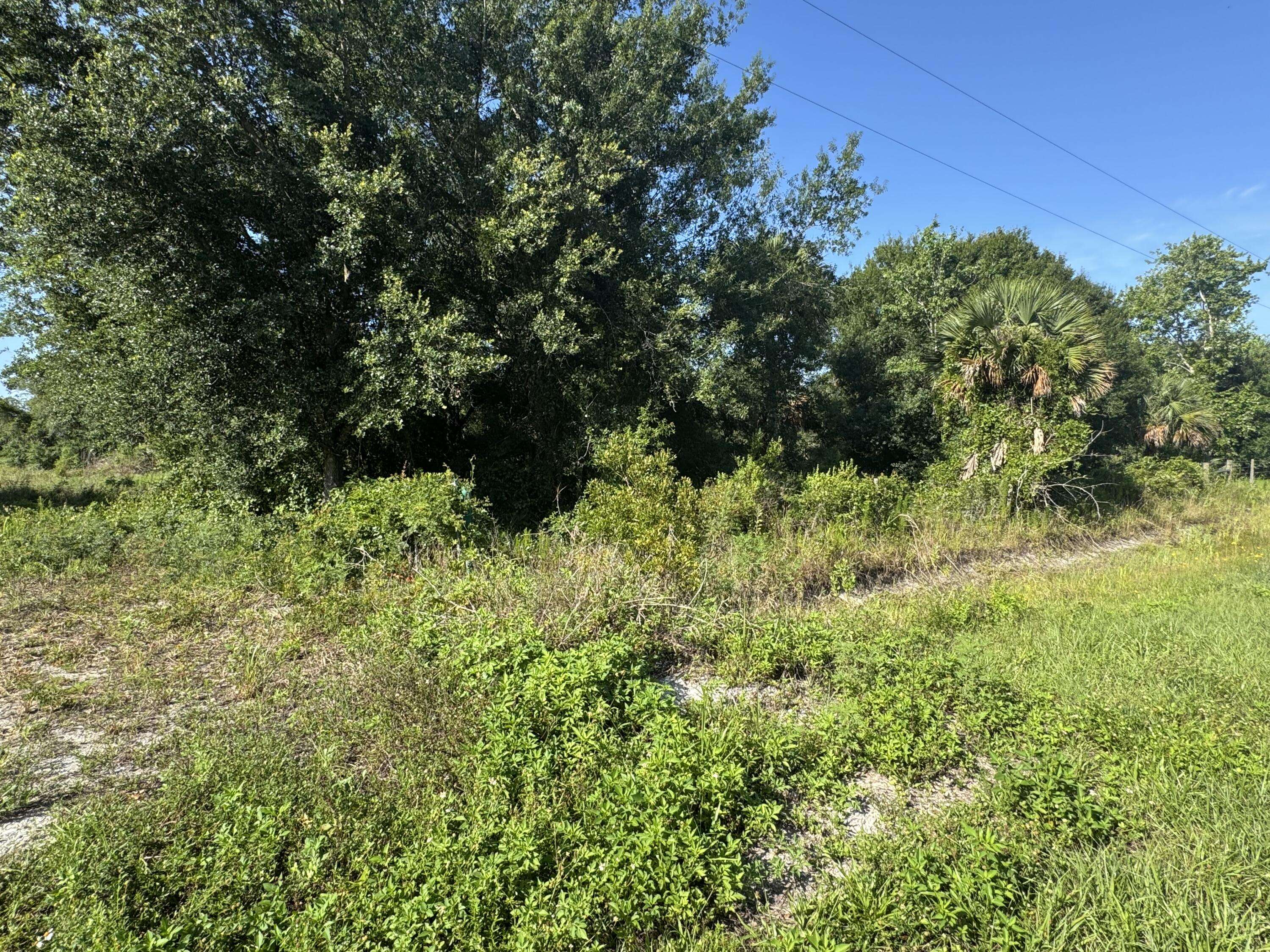 Okeechobee, FL 34972,19630 NW 250th ST