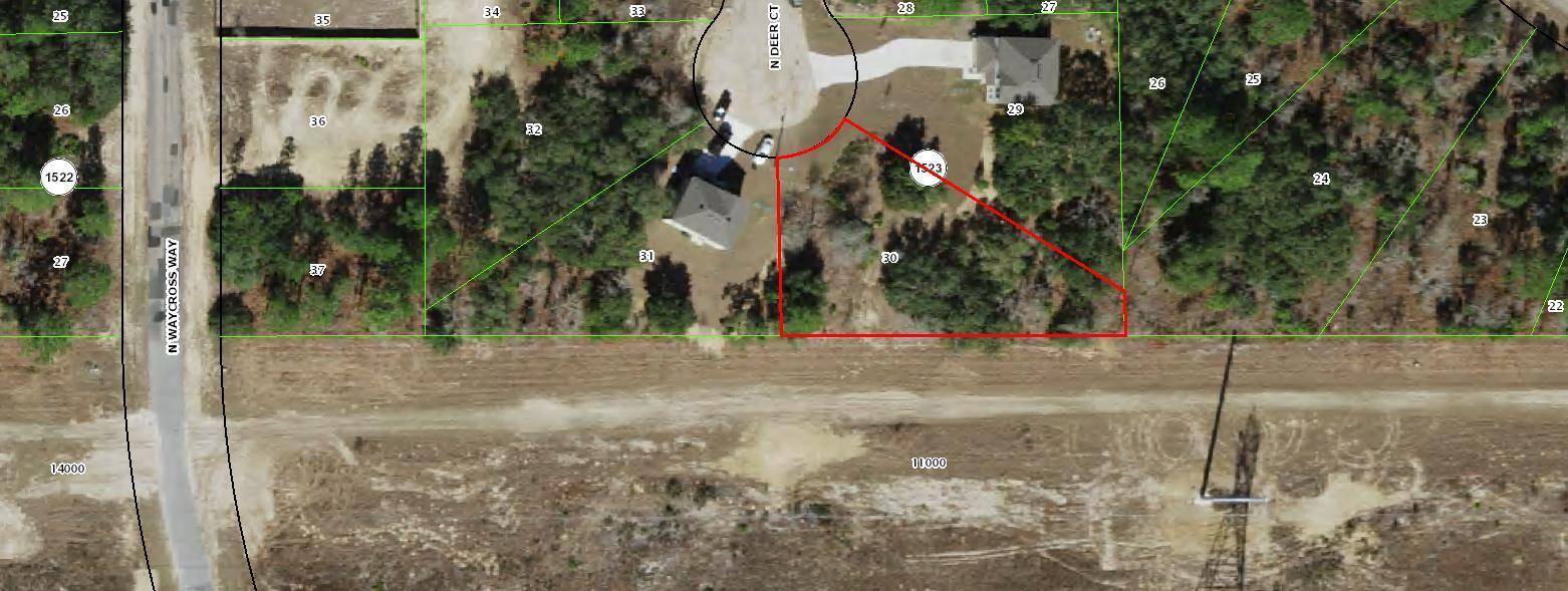 Citrus Springs, FL 34433,6929 N Deer PT