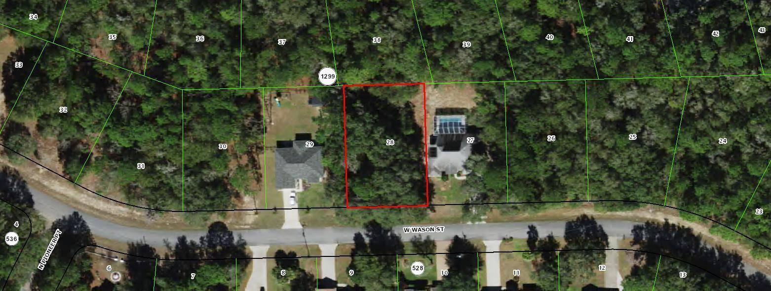 Citrus Springs, FL 34434,341 W Wason ST