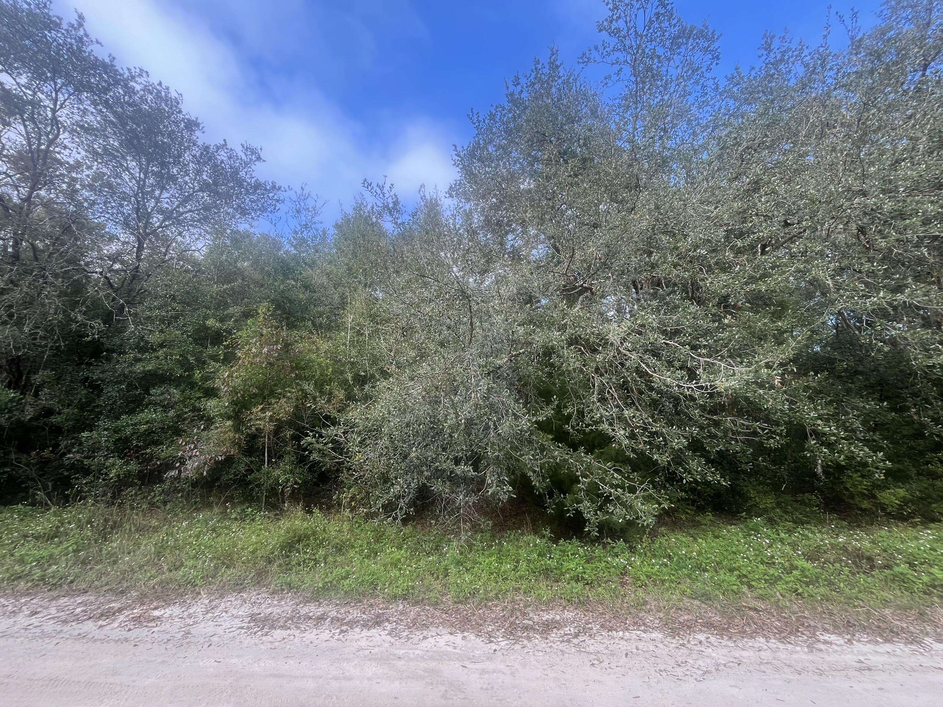 Dunnellon, FL 34432,Tbd 132nd AVE