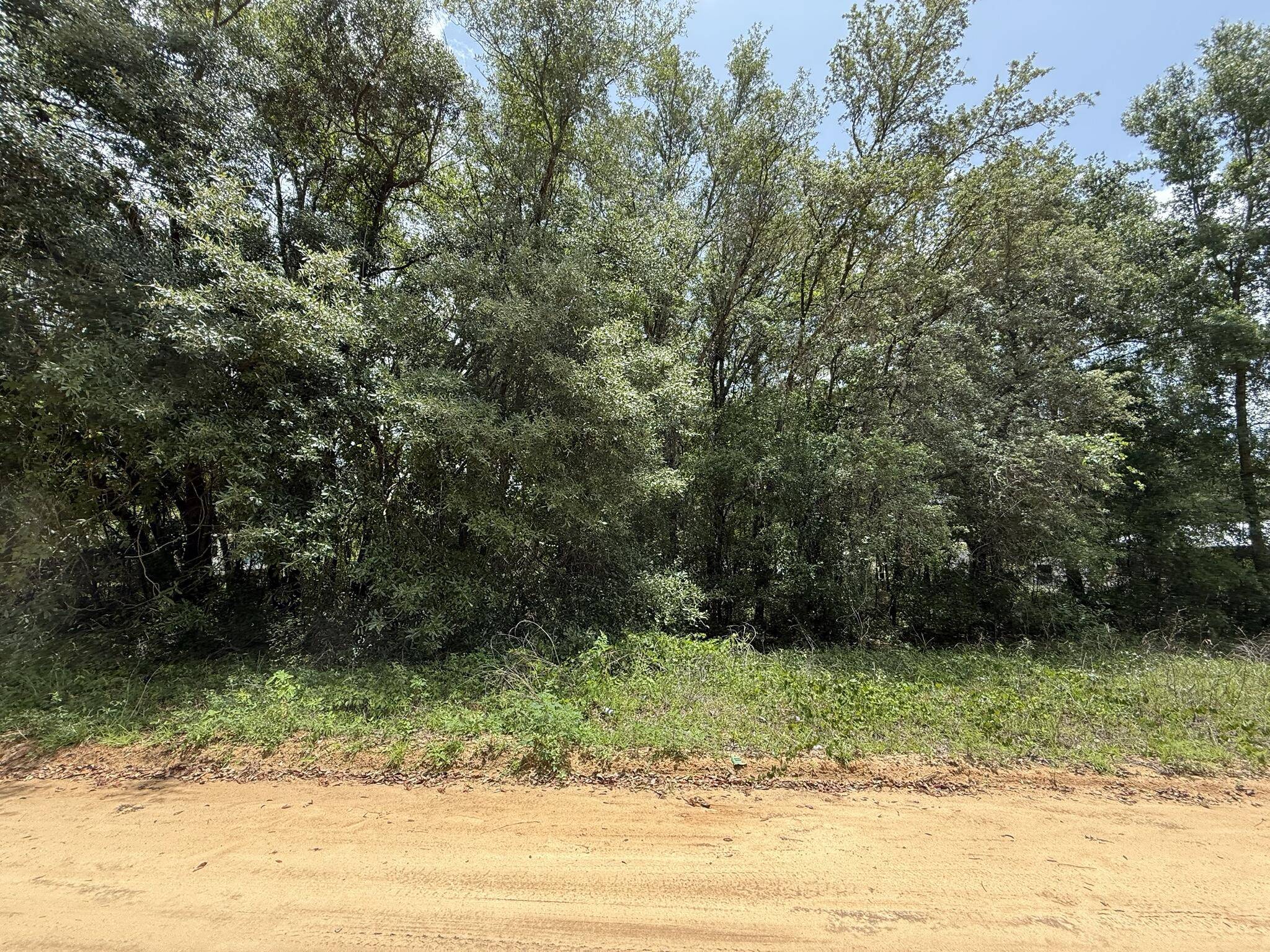 Interlachen, FL 32148,604 Kitty AVE