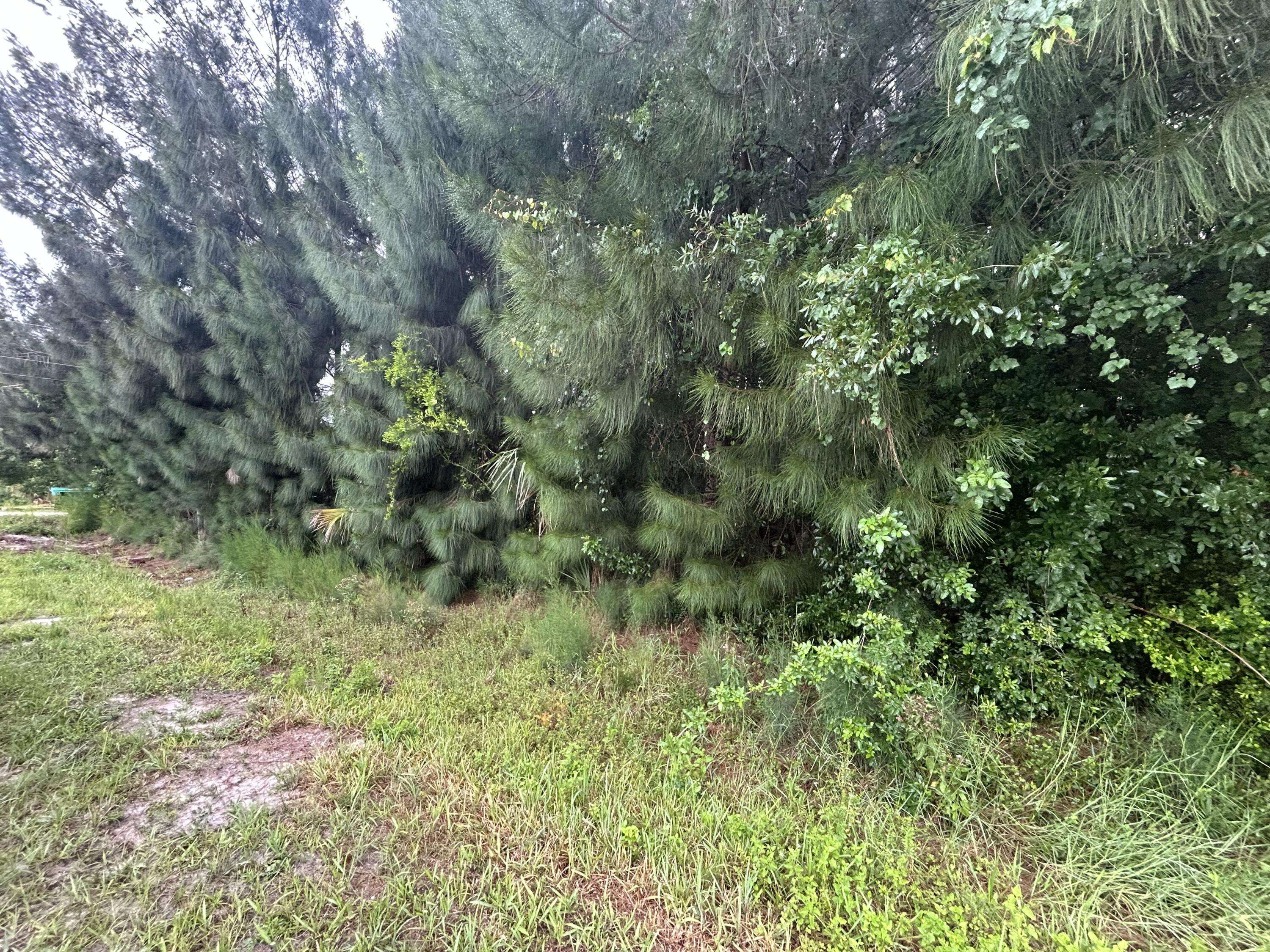 Okeechobee, FL 34972,3739 NW 37th AVE