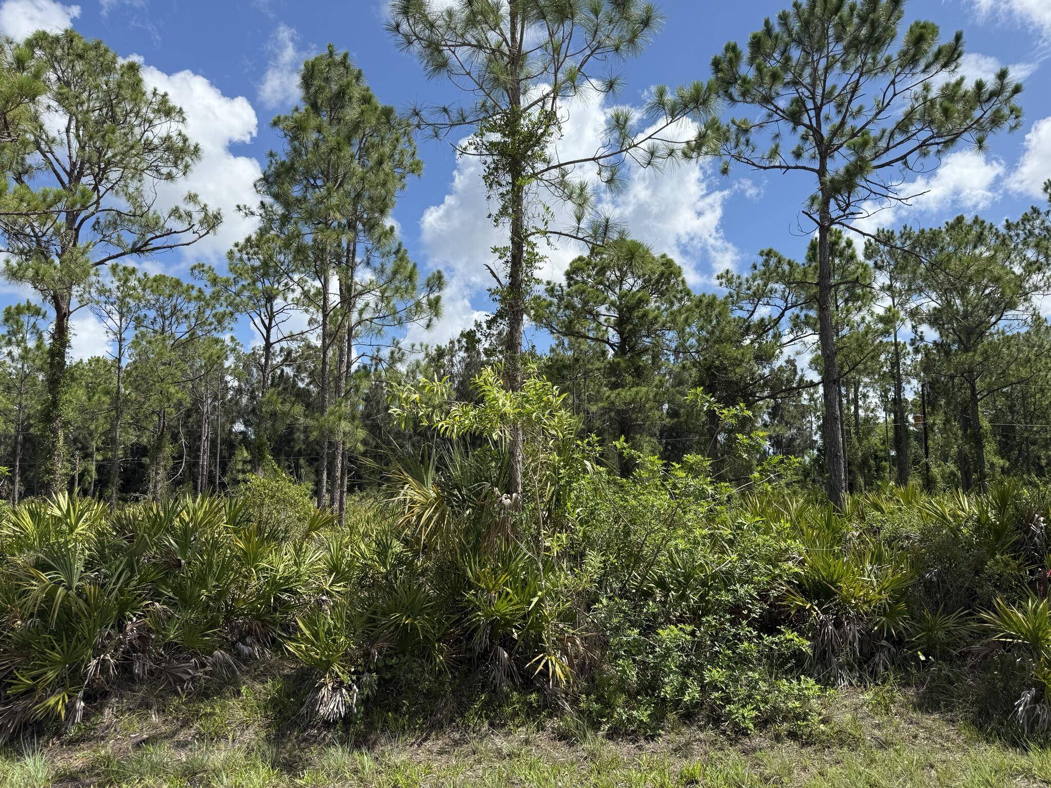 Punta Gorda, FL 33955,27342 Balboa DR