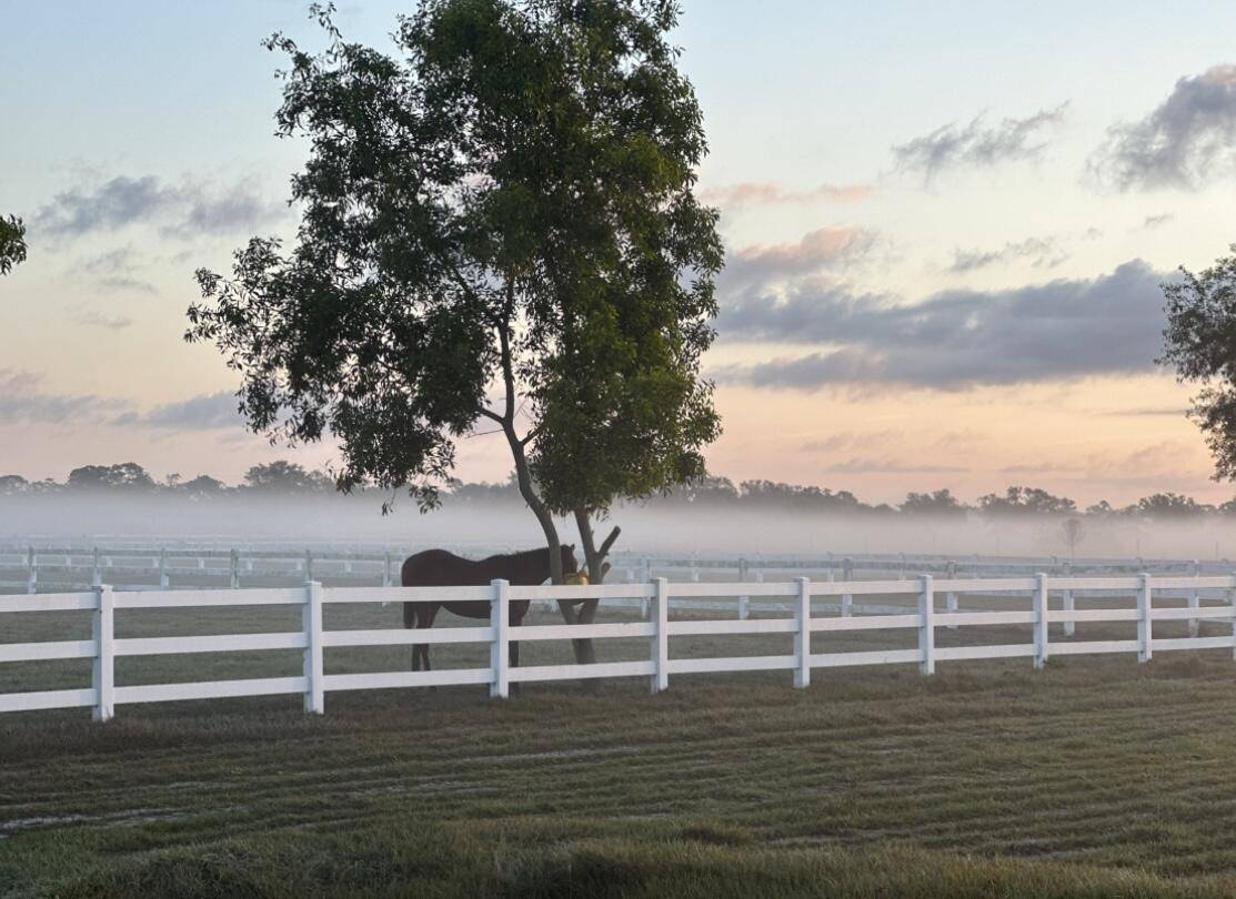 Indiantown, FL 34956,0 SW Fox Brown RD