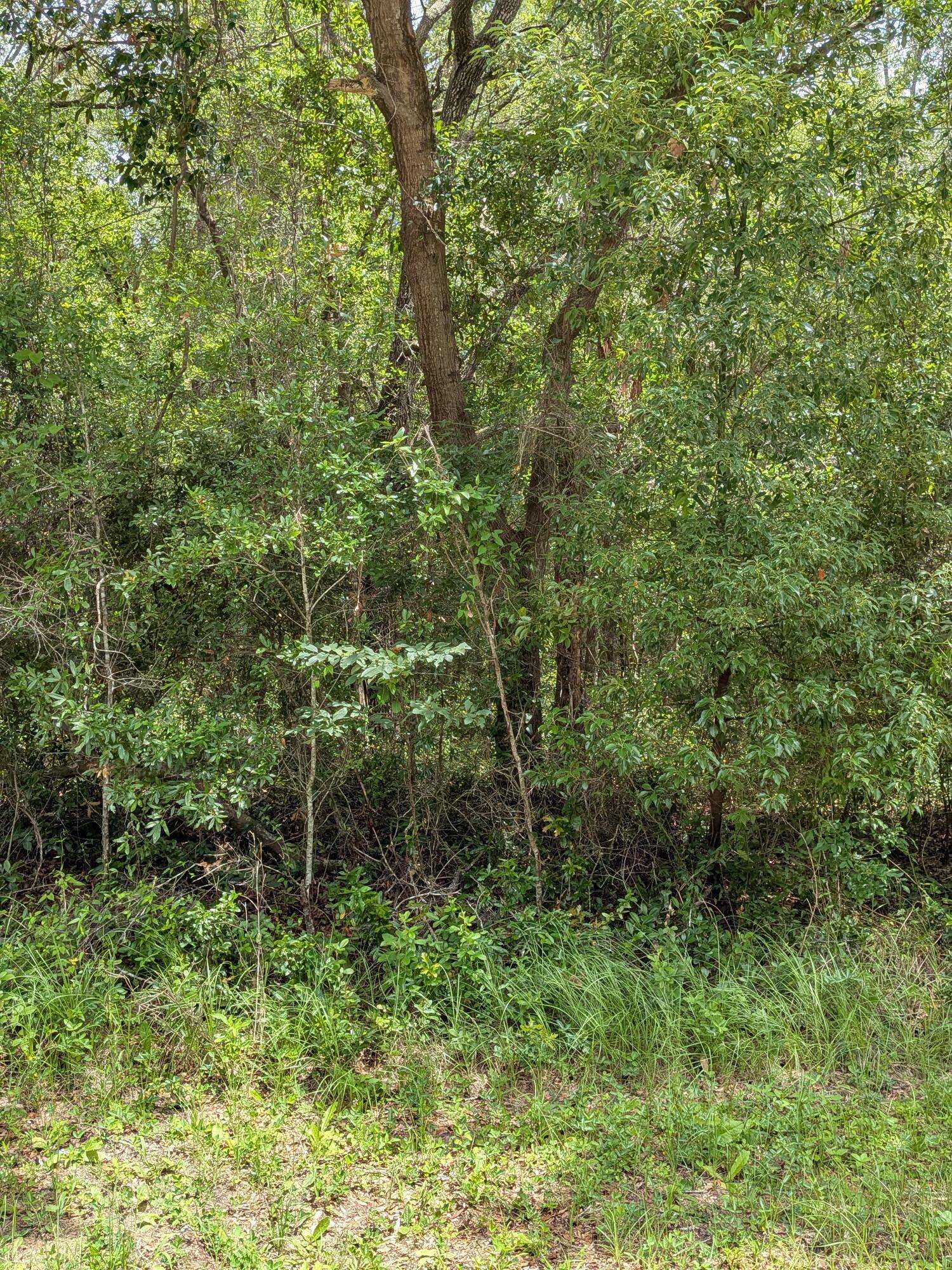 Dunnellon, FL 34434,8989 N Conch TER