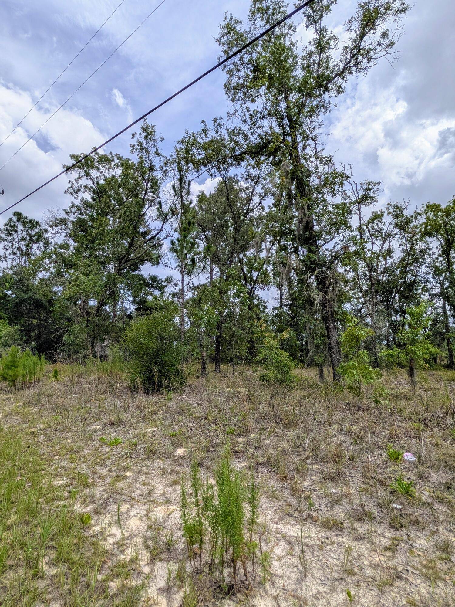 Citrus Springs, FL 34434,2450 W Rutland DR