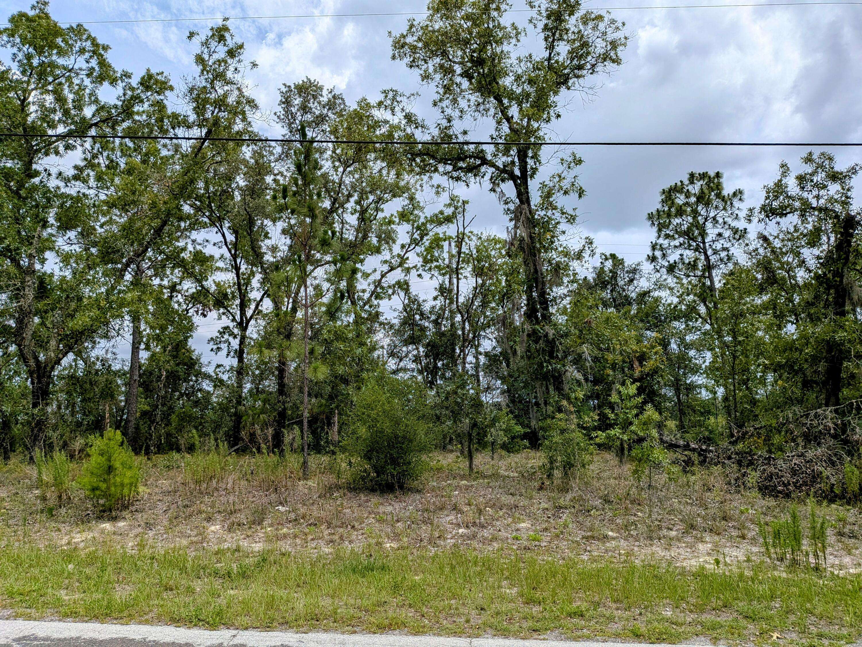 Citrus Springs, FL 34434,2450 W Rutland DR