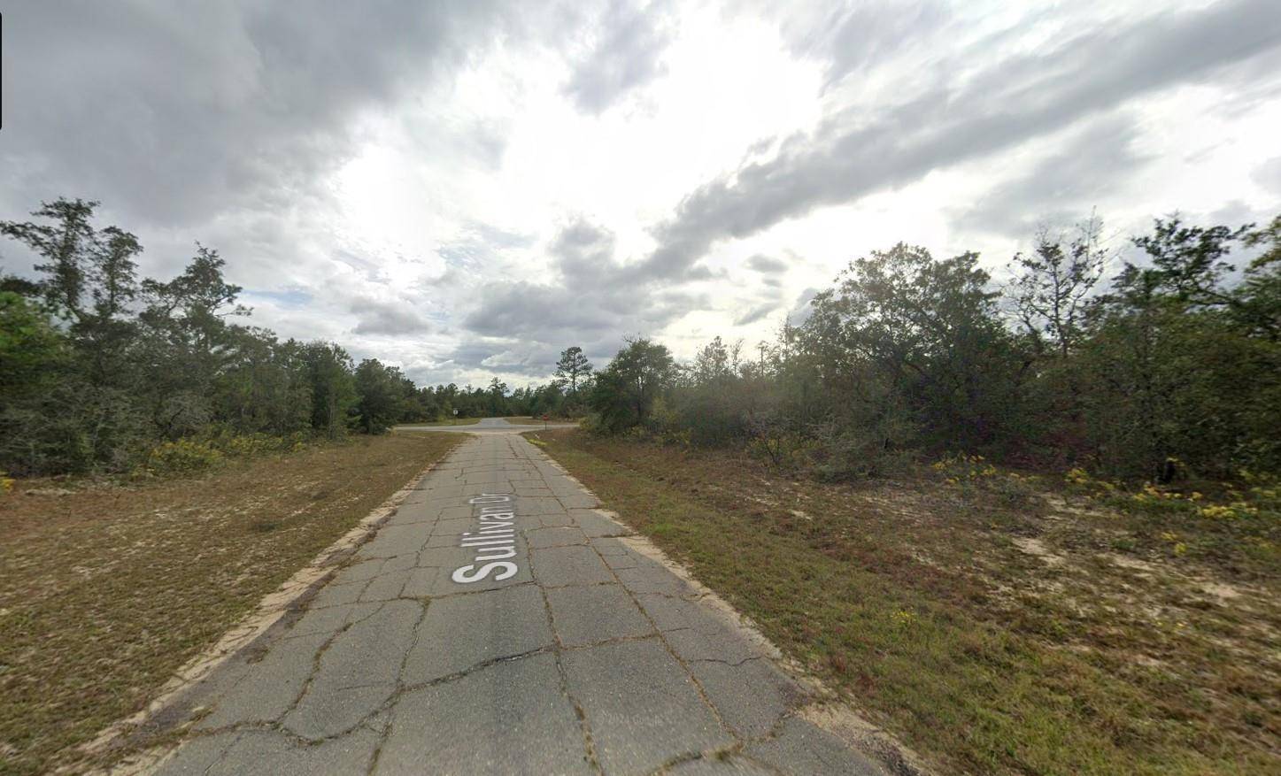 Chipley, FL 32428,Tbd Sullivan DR 1