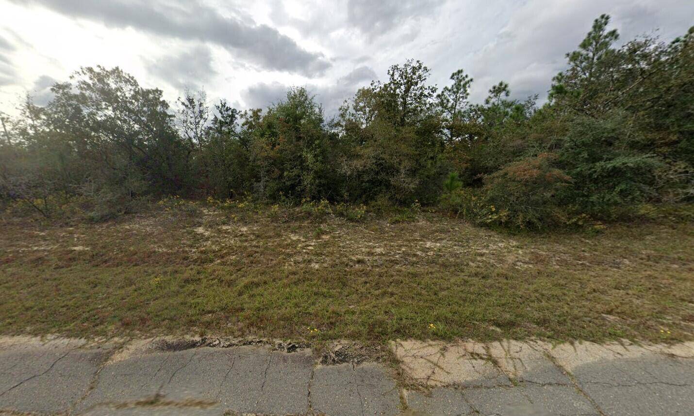 Chipley, FL 32428,Tbd Sullivan DR