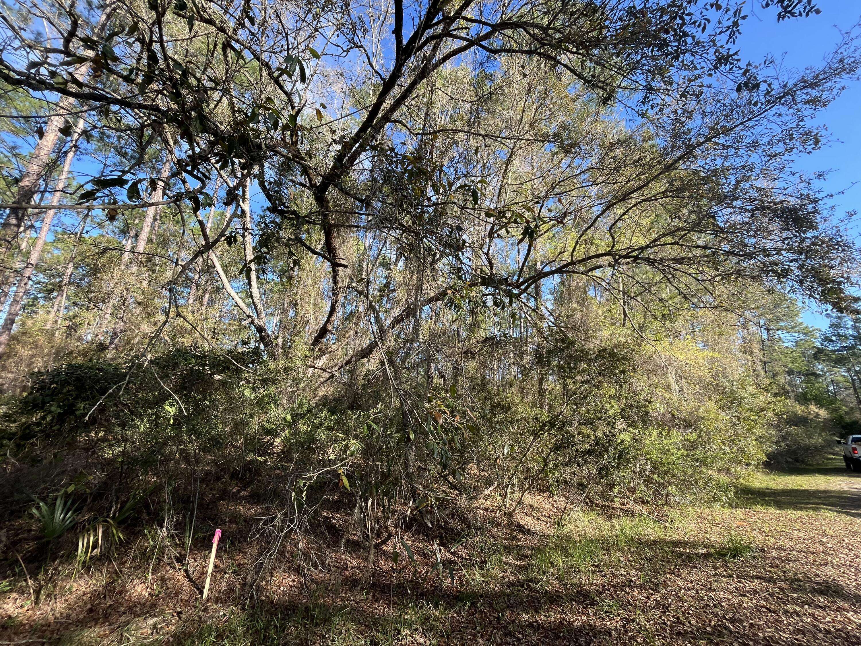 Georgetown, FL 32139,104 5th ST