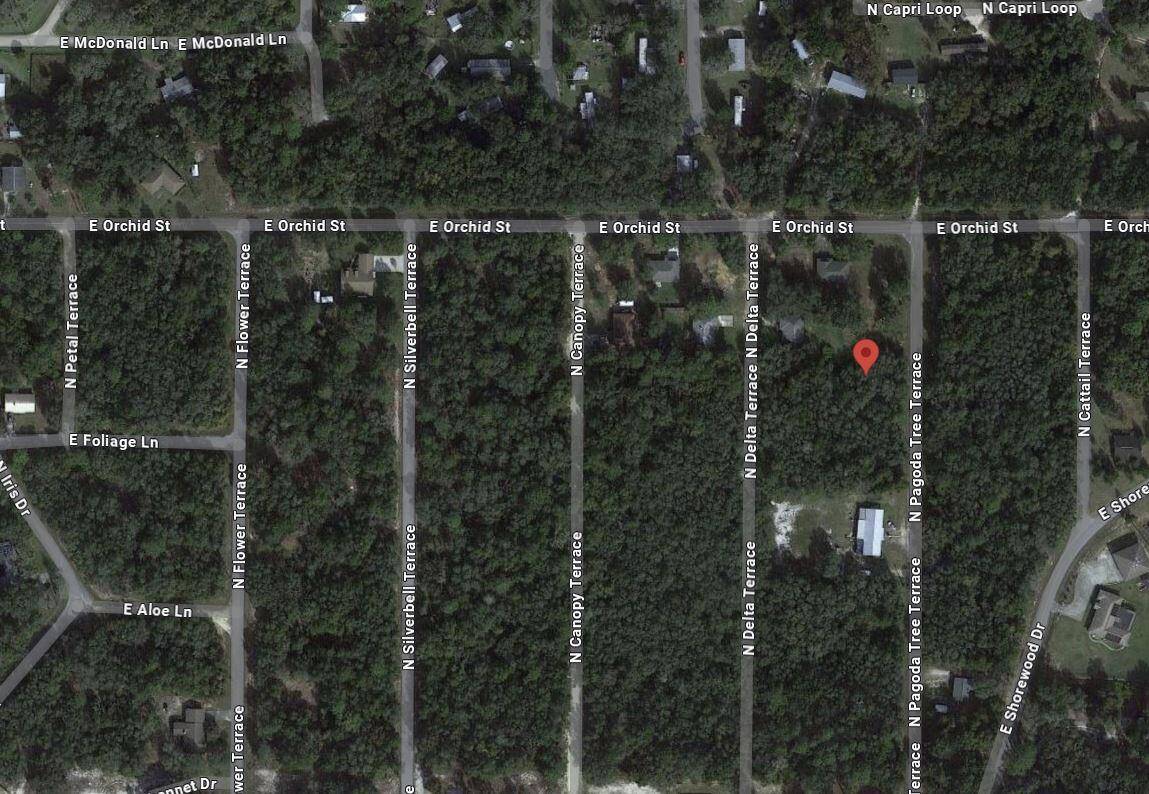 Hernando, FL 34442,6634 N Pagoda Tree TER