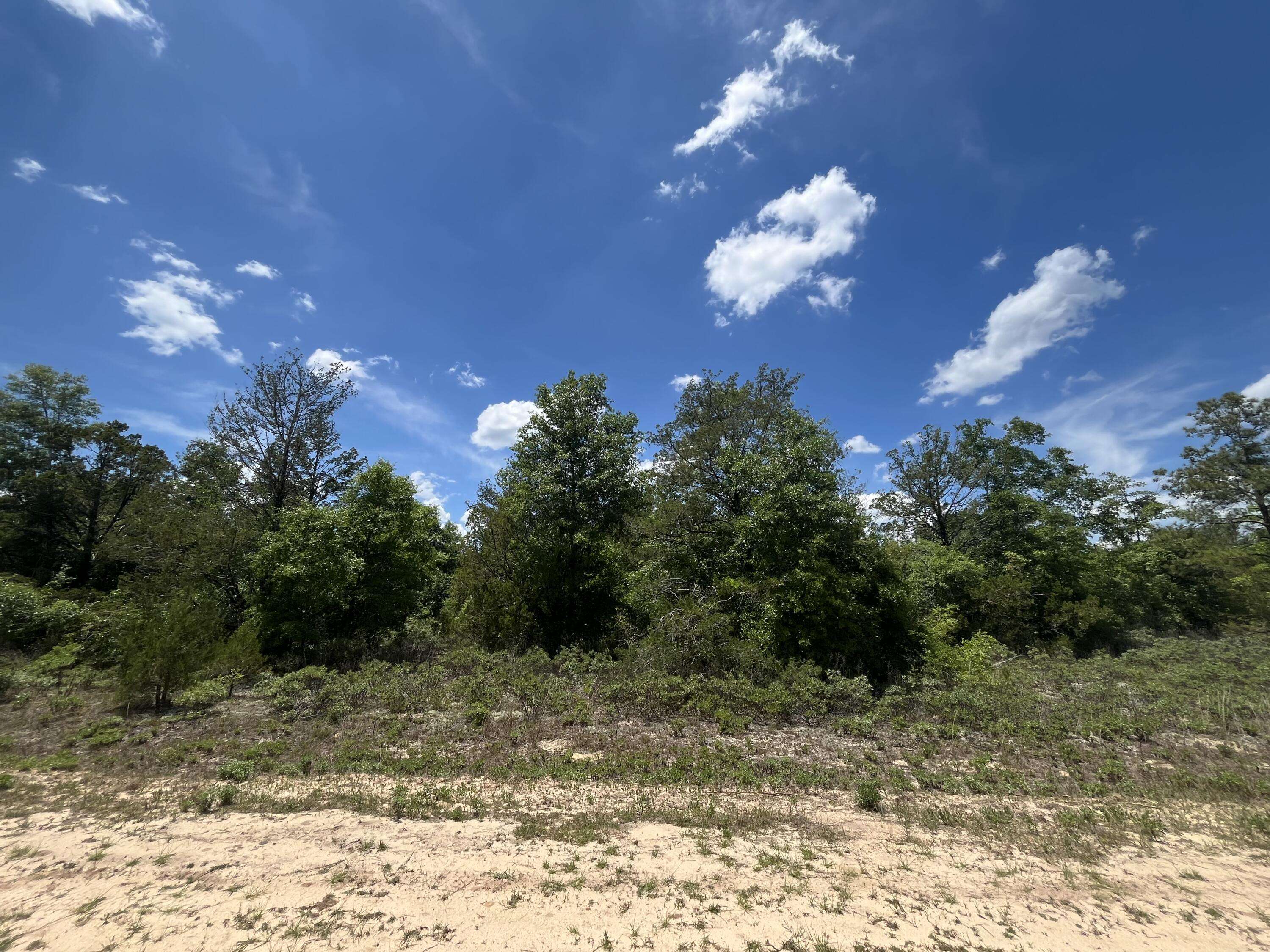 Marianna, FL 32448,Tbd Magnolia LN