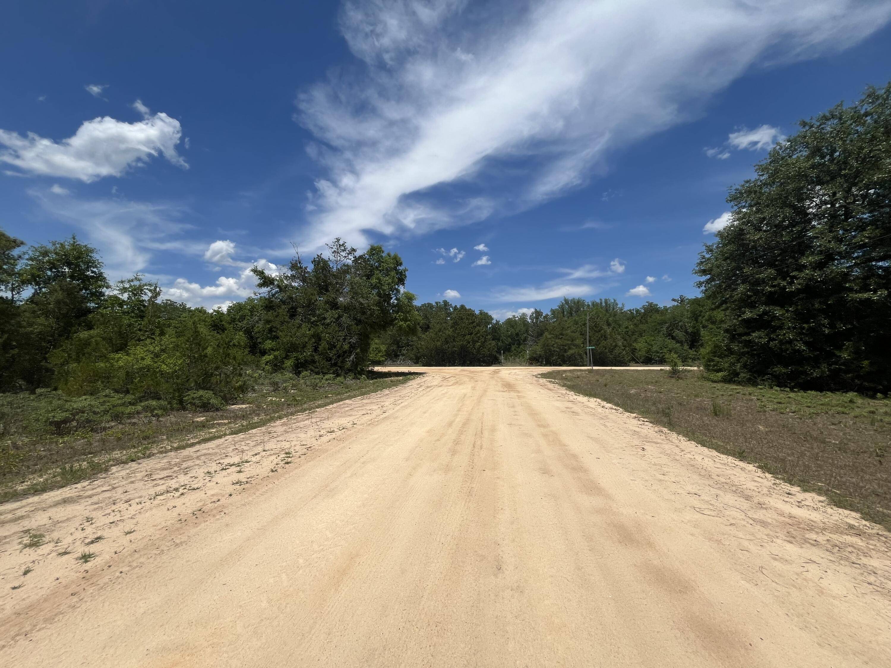 Marianna, FL 32448,Tbd Magnolia LN