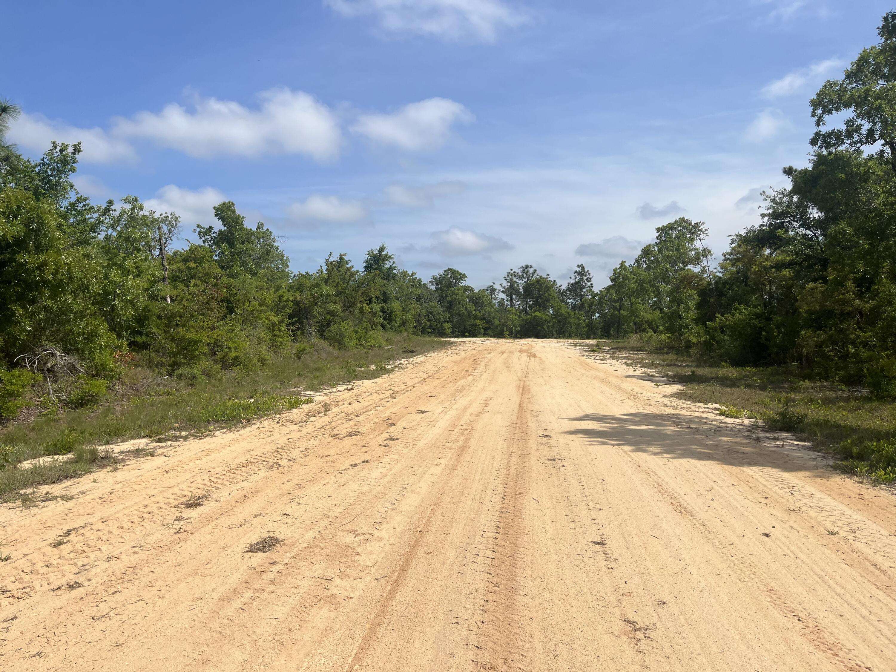 Alford, FL 32420,Tbd Rome AVE