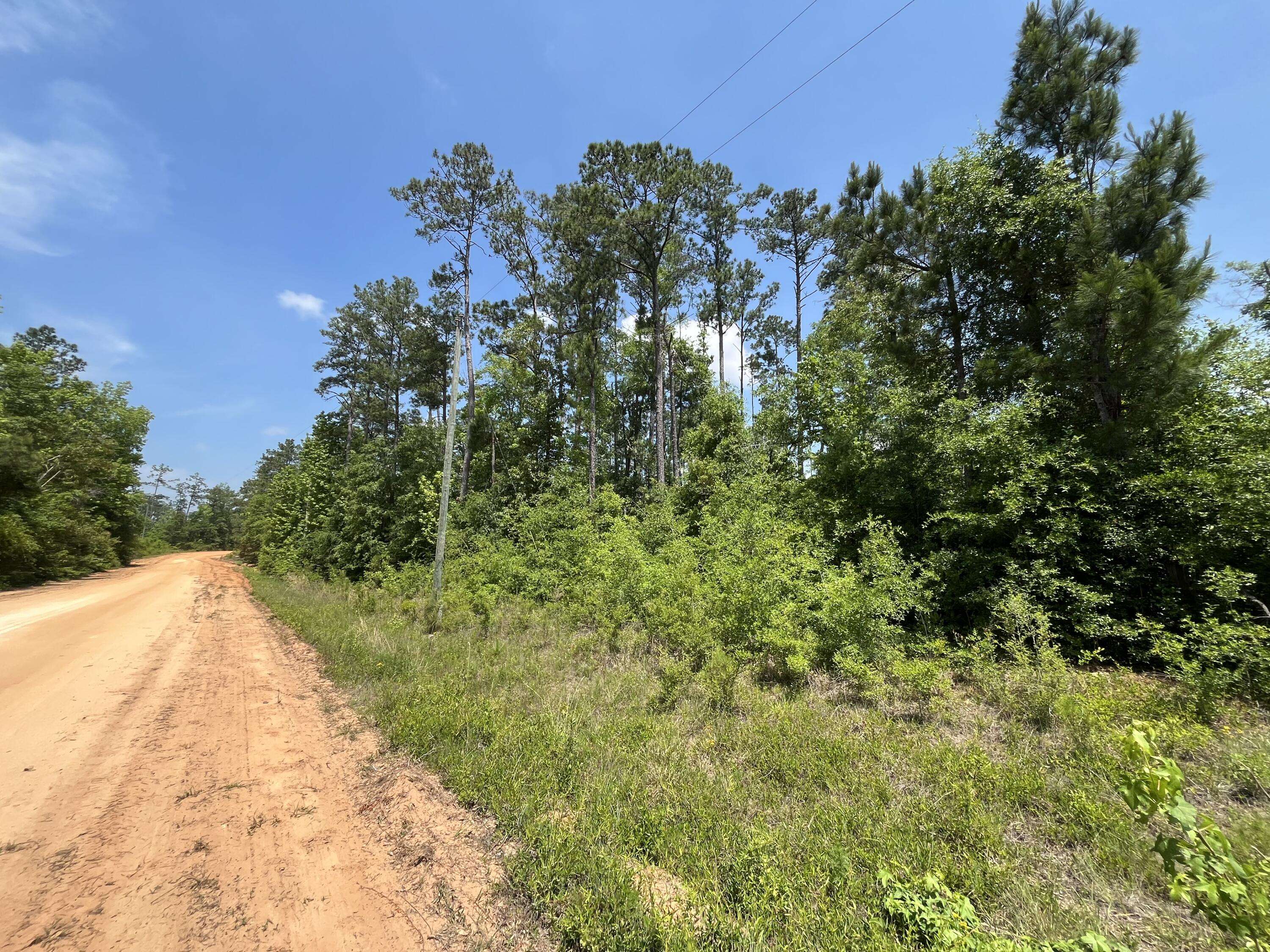 Alford, FL 32420,Tbd Grand Quiviera CIR