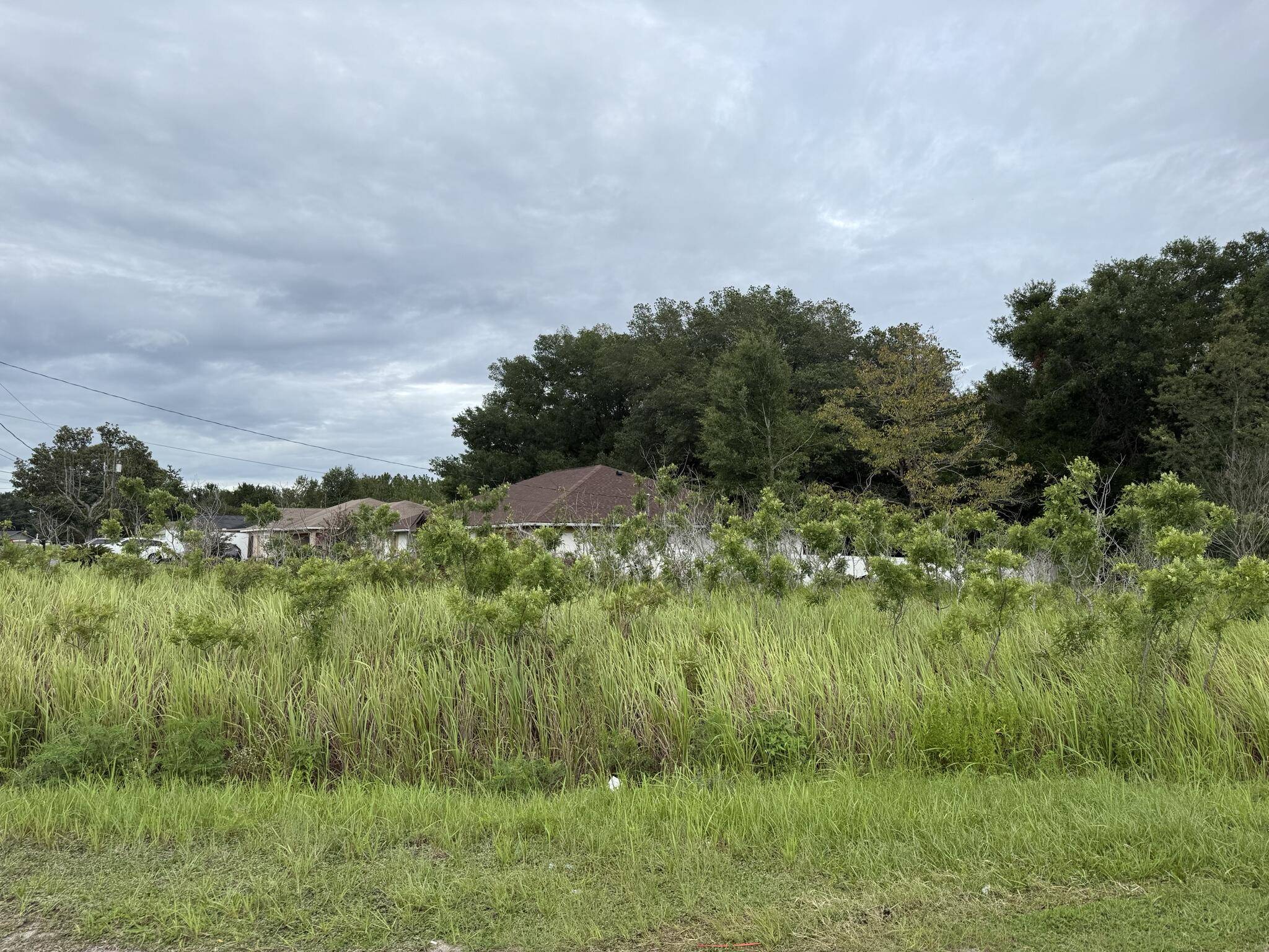 Ocala, FL 34472,Tbd Almond Drive