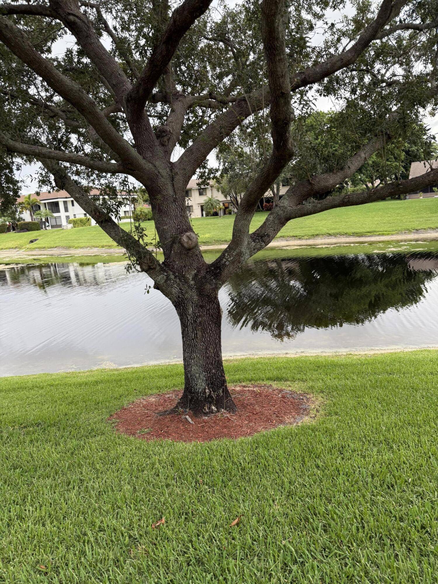 Delray Beach, FL 33445,2755 Casita Way WAY 206