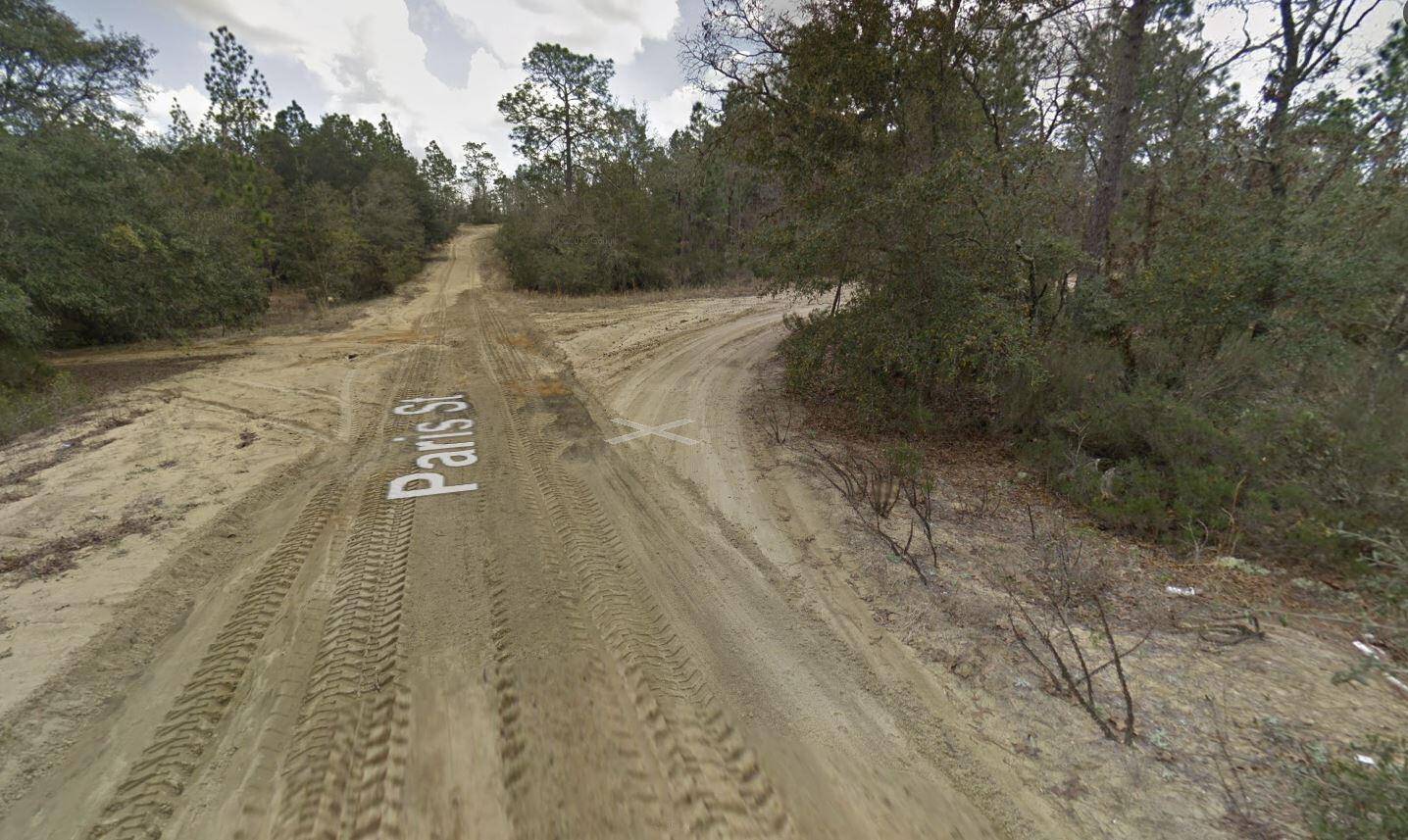 Interlachen, FL 32148,187 Paris ST