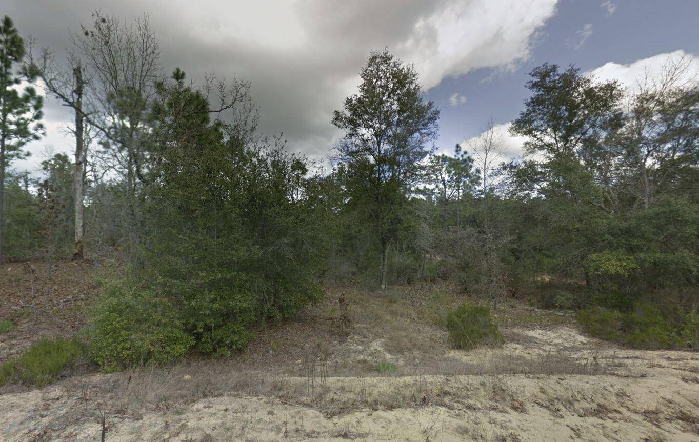 Interlachen, FL 32148,187 Paris ST