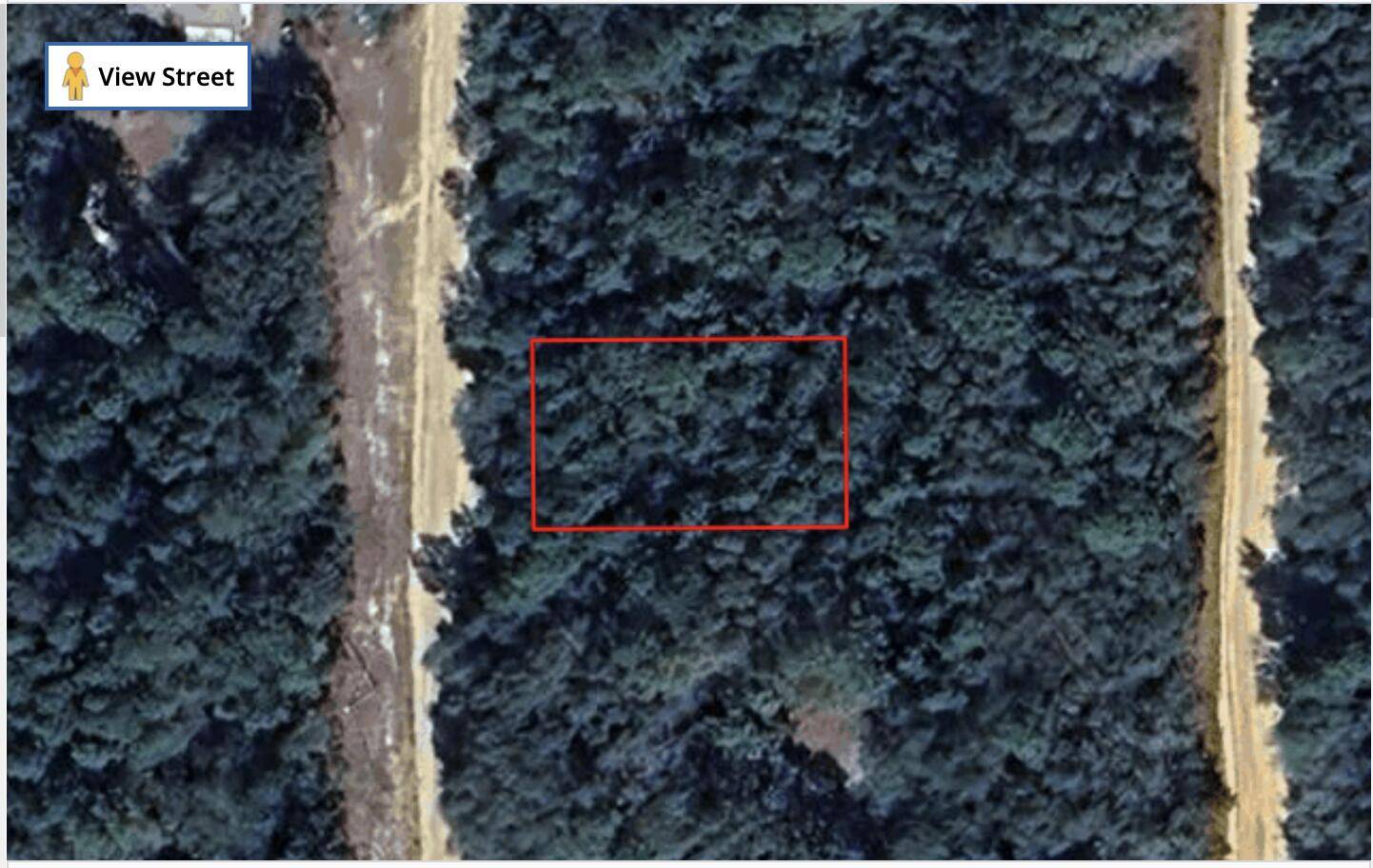 Interlachen, FL 32148,Tbd Louise AVE