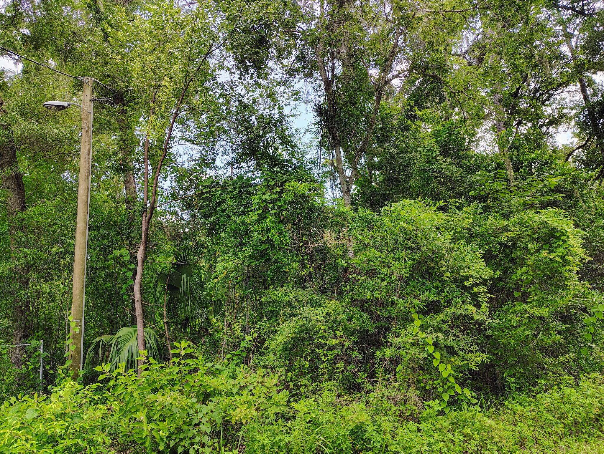 Ocala, FL 34475,Nw 66 St Nw 24th Ave