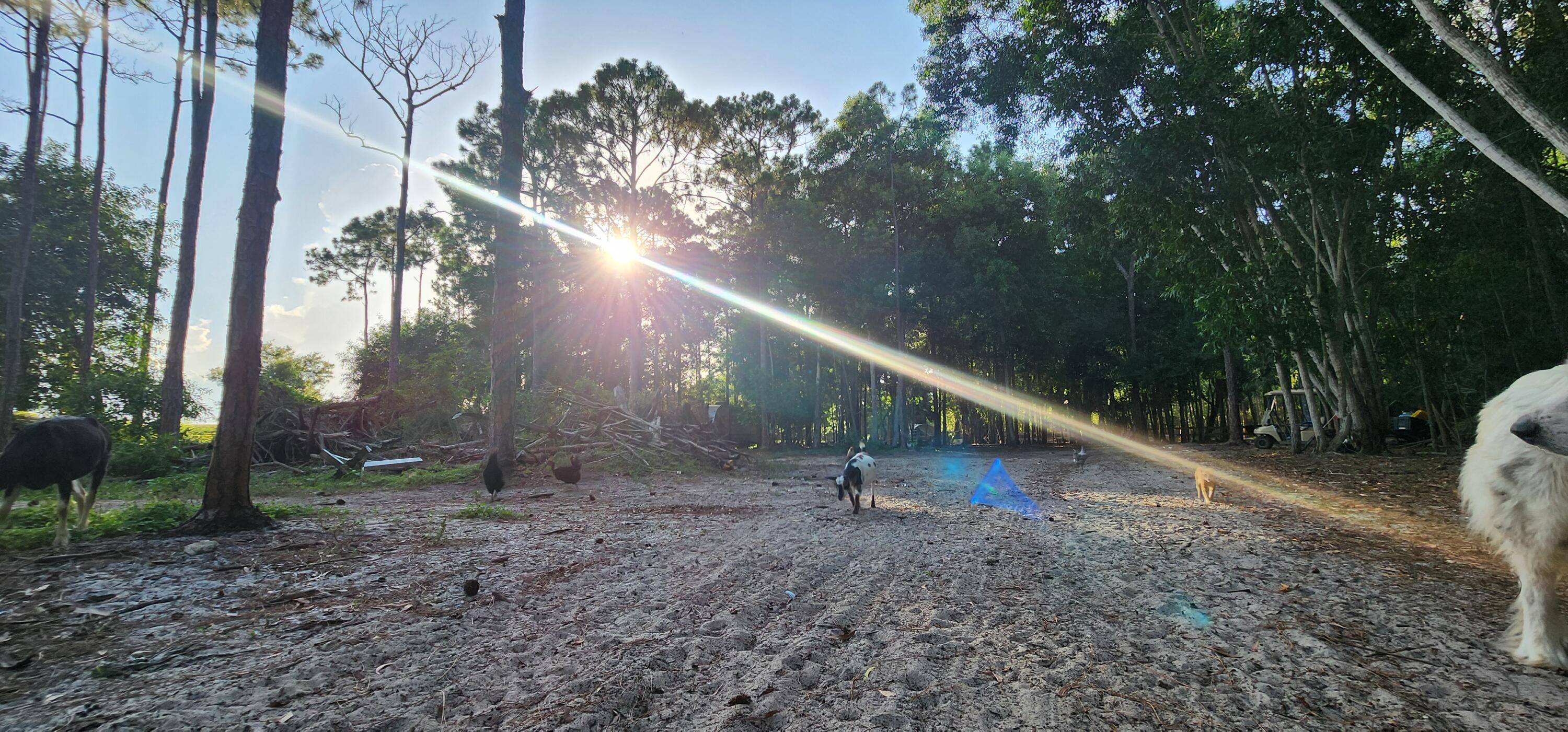 Loxahatchee, FL 33470,3335 Dellwood RD