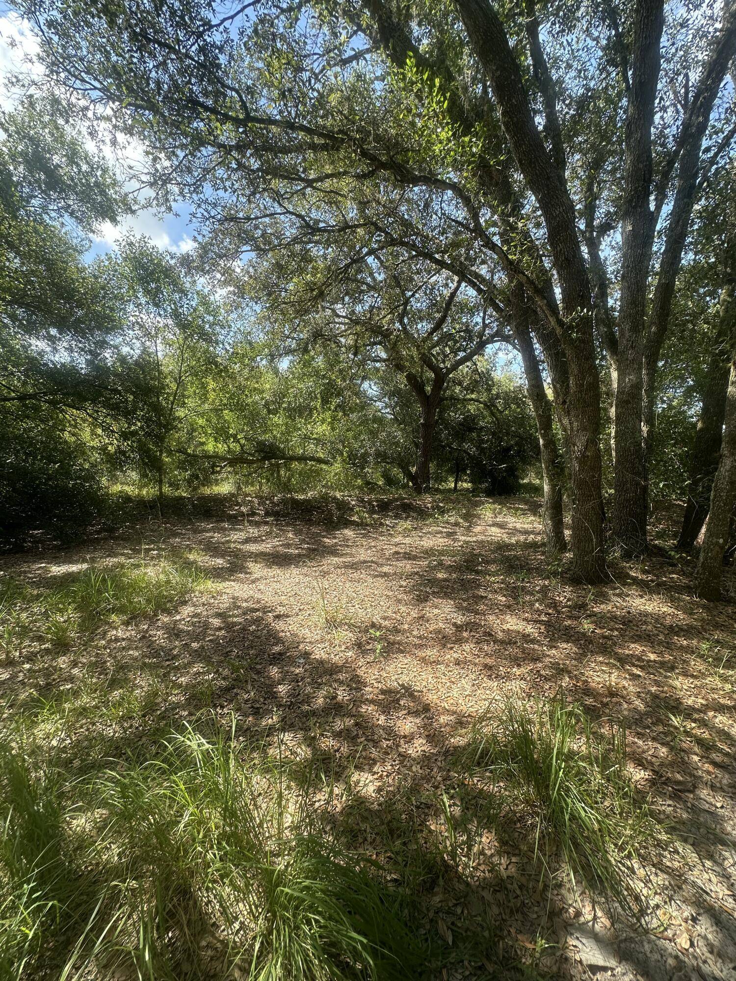Okeechobee, FL 34972,22128 NW 258th ST