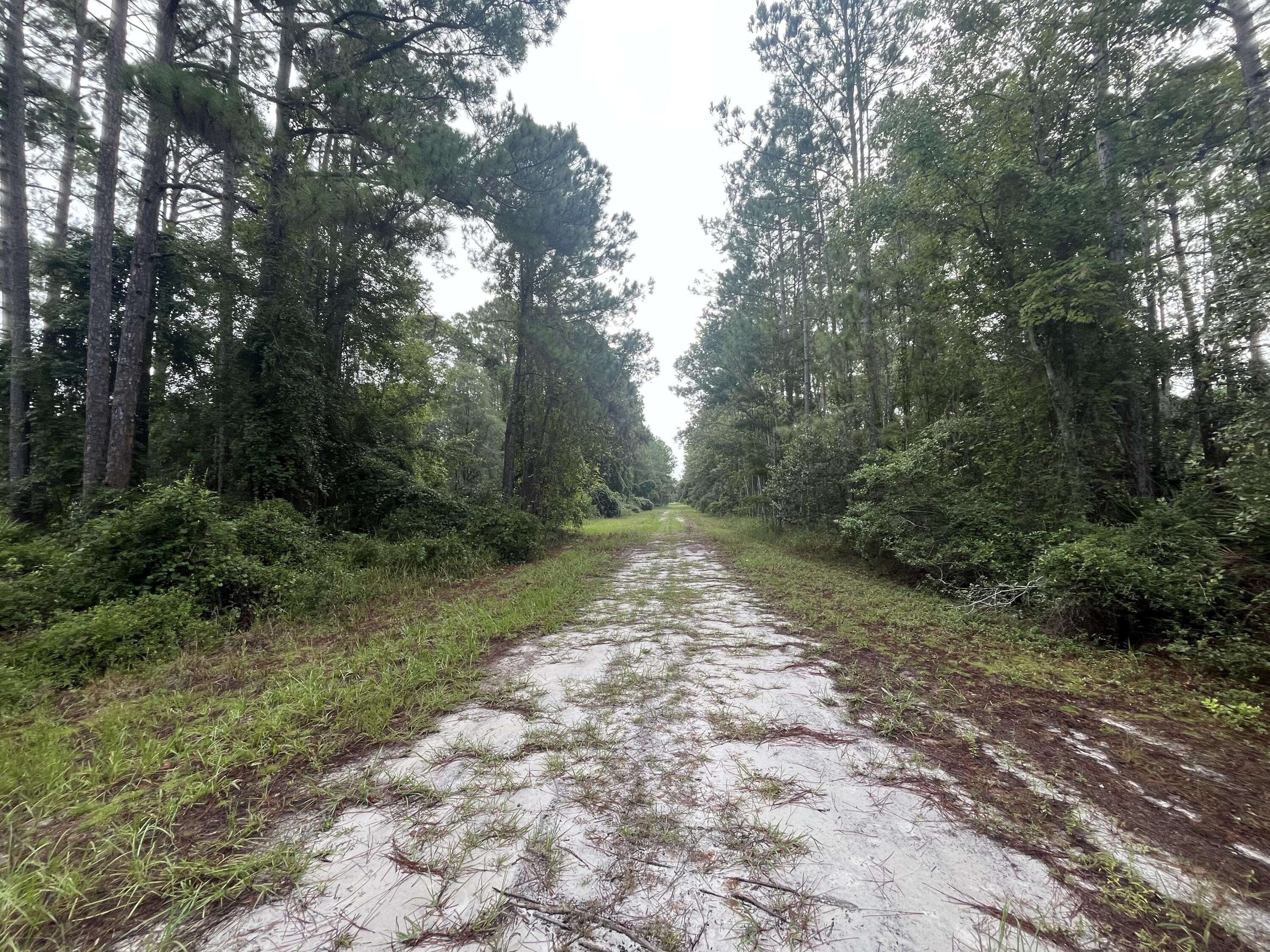 Georgetown, FL 32139,120 Gardenia AVE