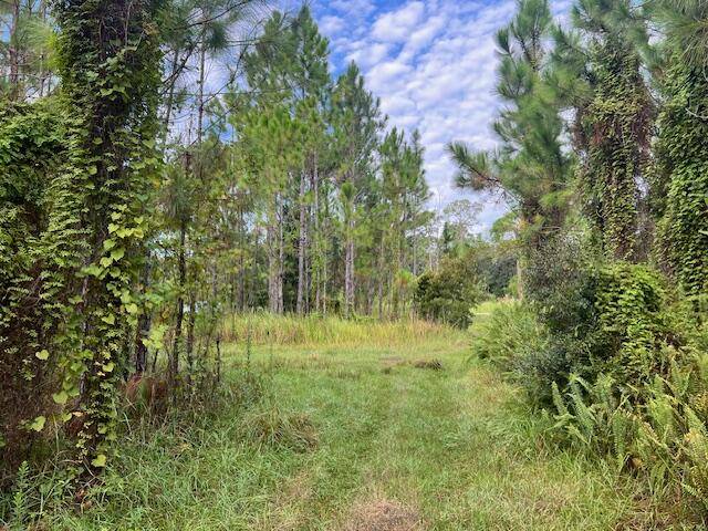 Lake Placid, FL 33852,1137 Greenfield ST