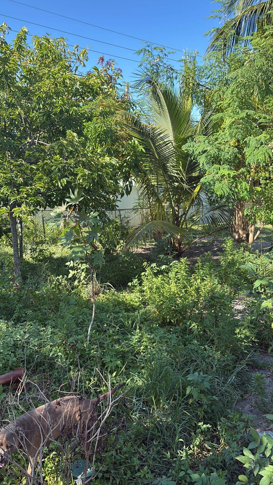 Lake Park, FL 33403,215 Evergreen DR