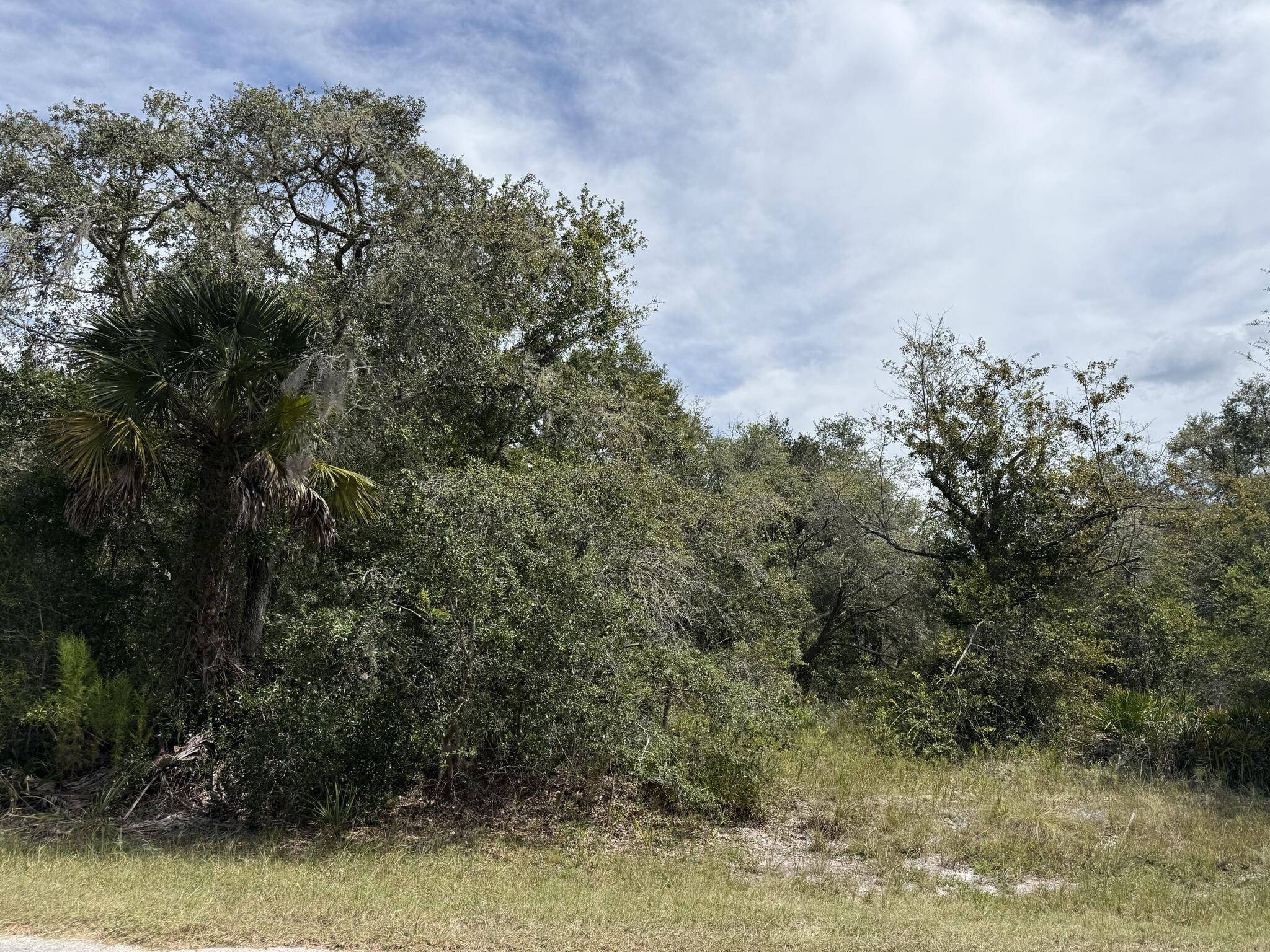 Crystal River, FL 34428,9793 N Alder AVE