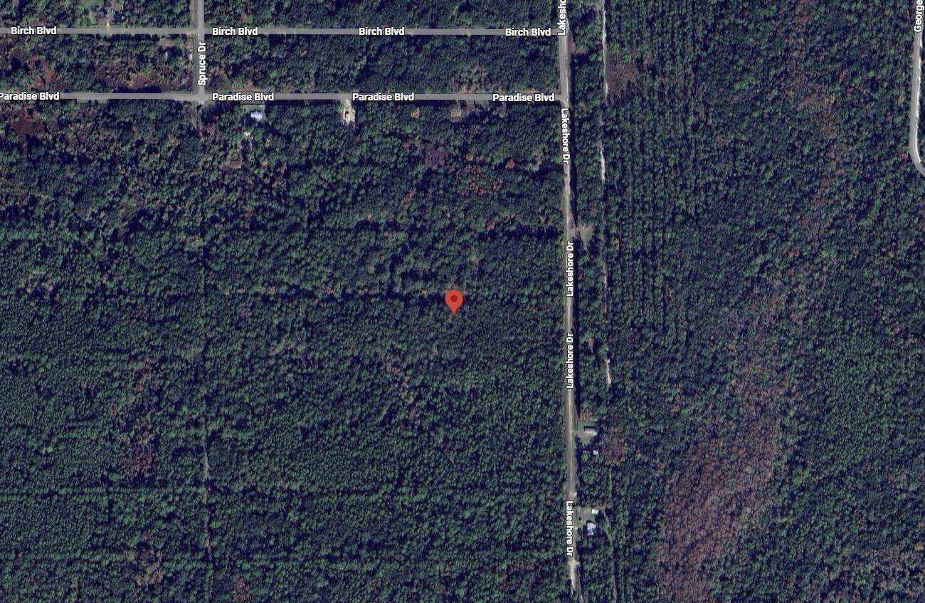 Georgetown, FL 32139,329 Chipola DR
