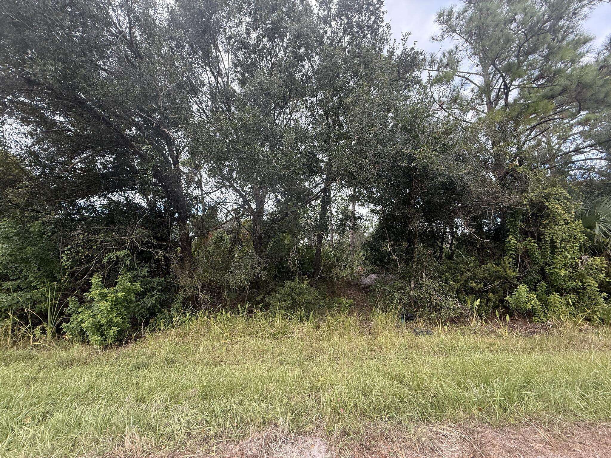 North Port, FL 34291,Lot 5 Henrietta AVE