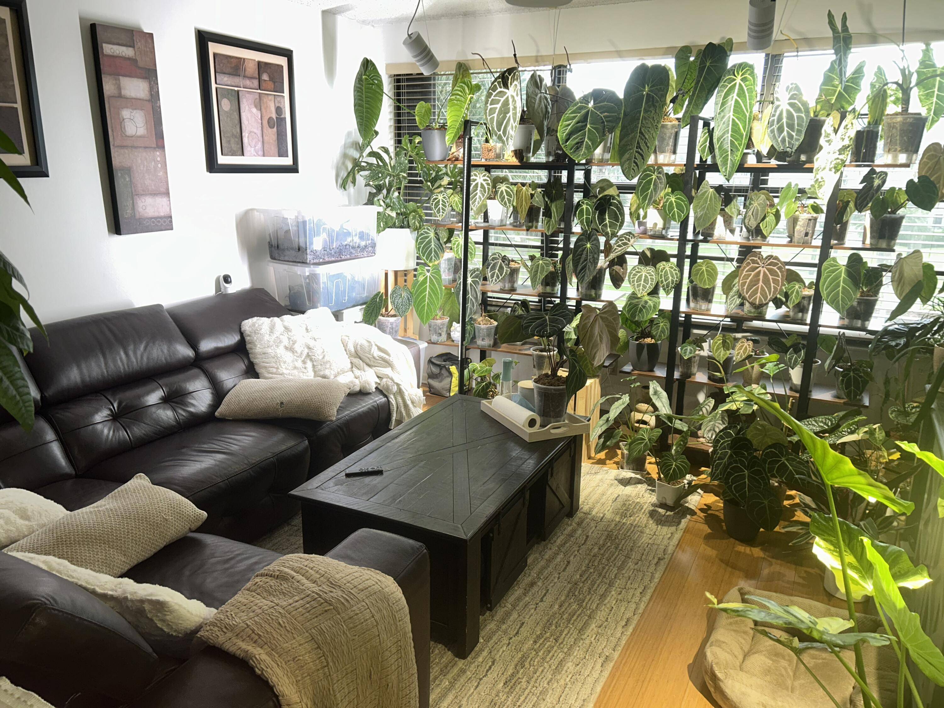 West Palm Beach, FL 33409,3511 Village BLVD 302