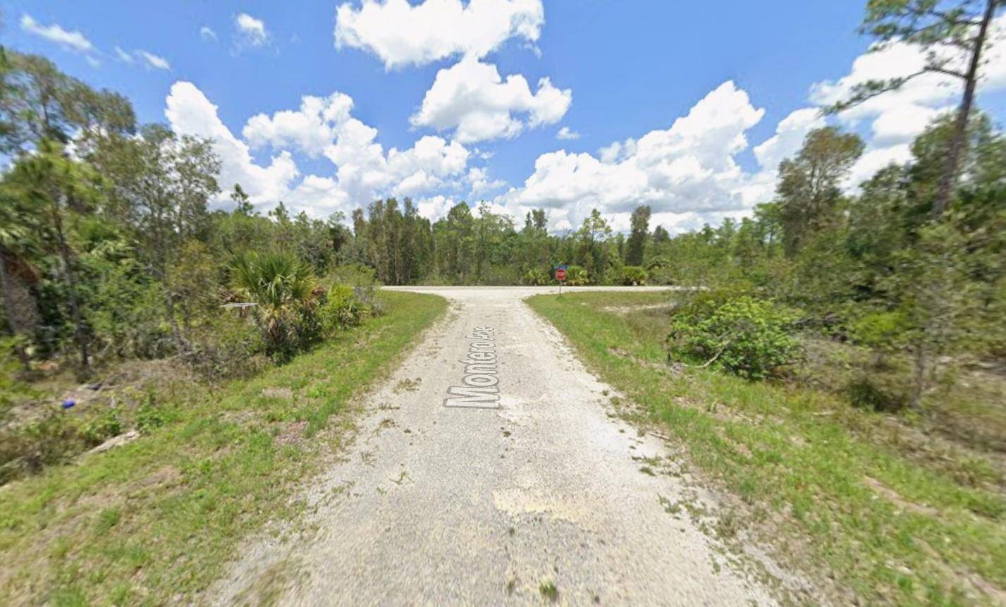 Lehigh Acres, FL 33972,1936 Montero AVE