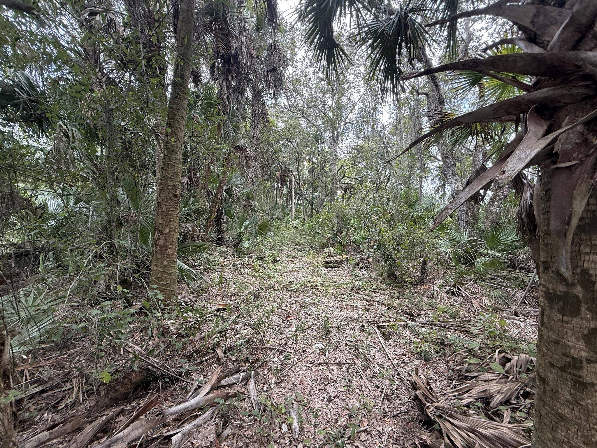 Okeechobee, FL 34972,17376 NW 320th ST