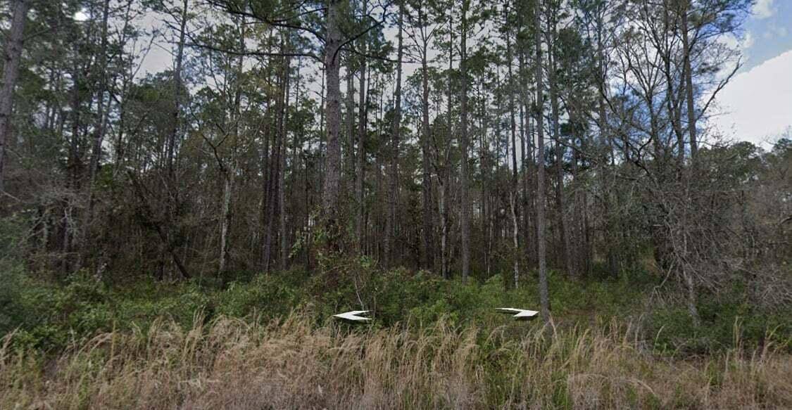 Hastings, FL 32145,10275 Hennessey AVE