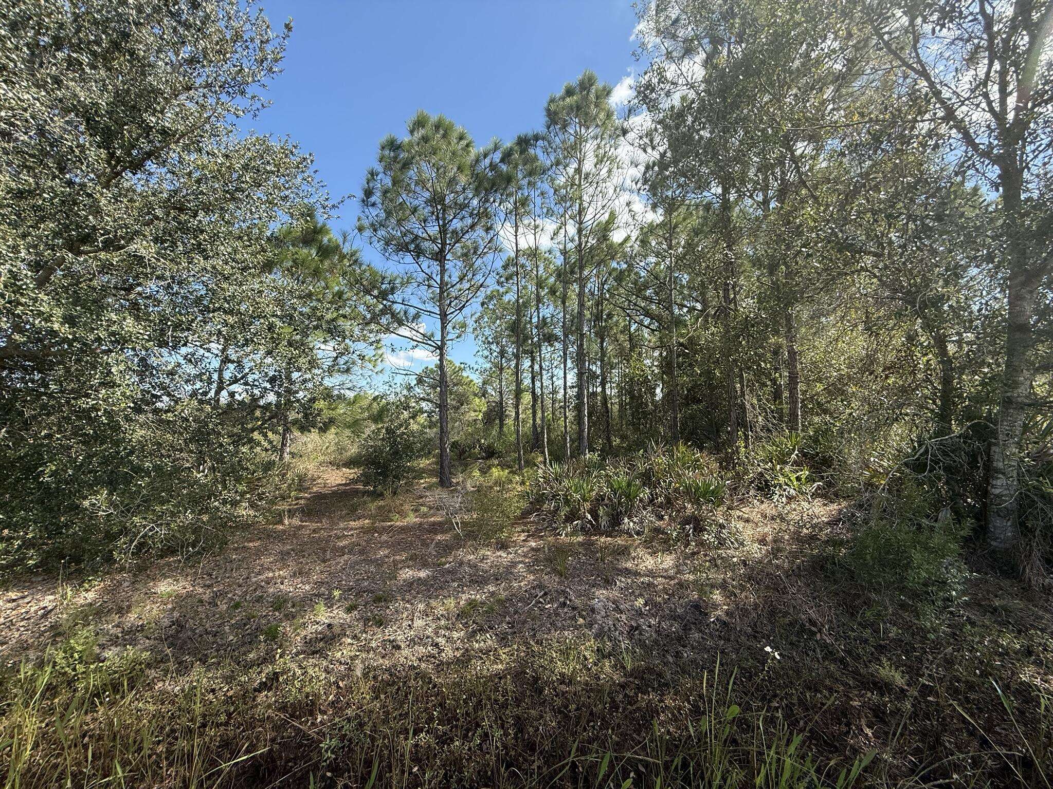 Okeechobee, FL 34972,15991 NW 312th ST