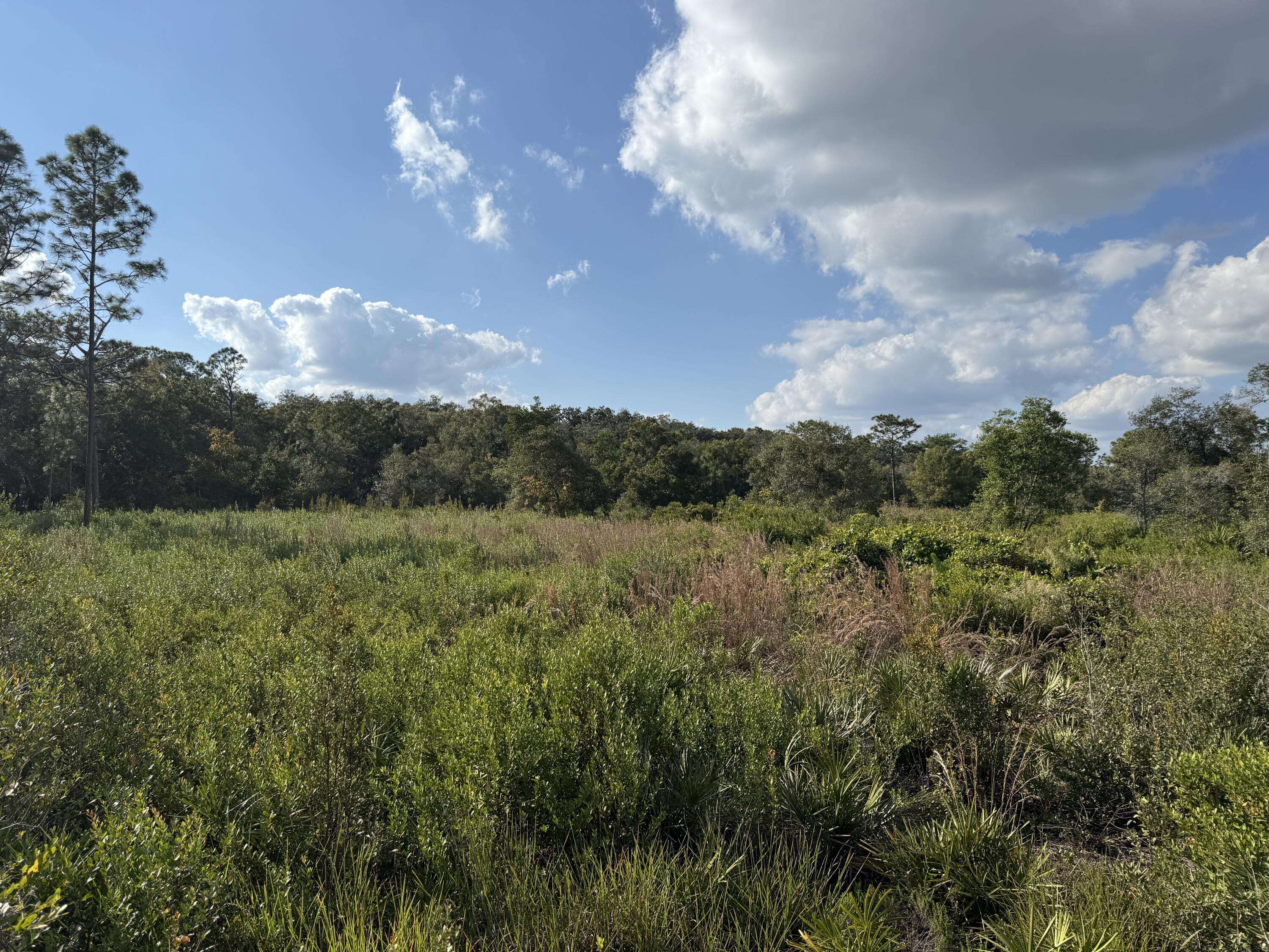 Okeechobee, FL 34972,39603 NW 19th AVE