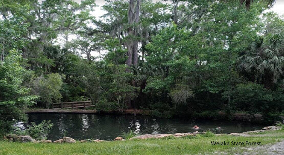 Georgetown, FL 32139,208 Garrison AVE