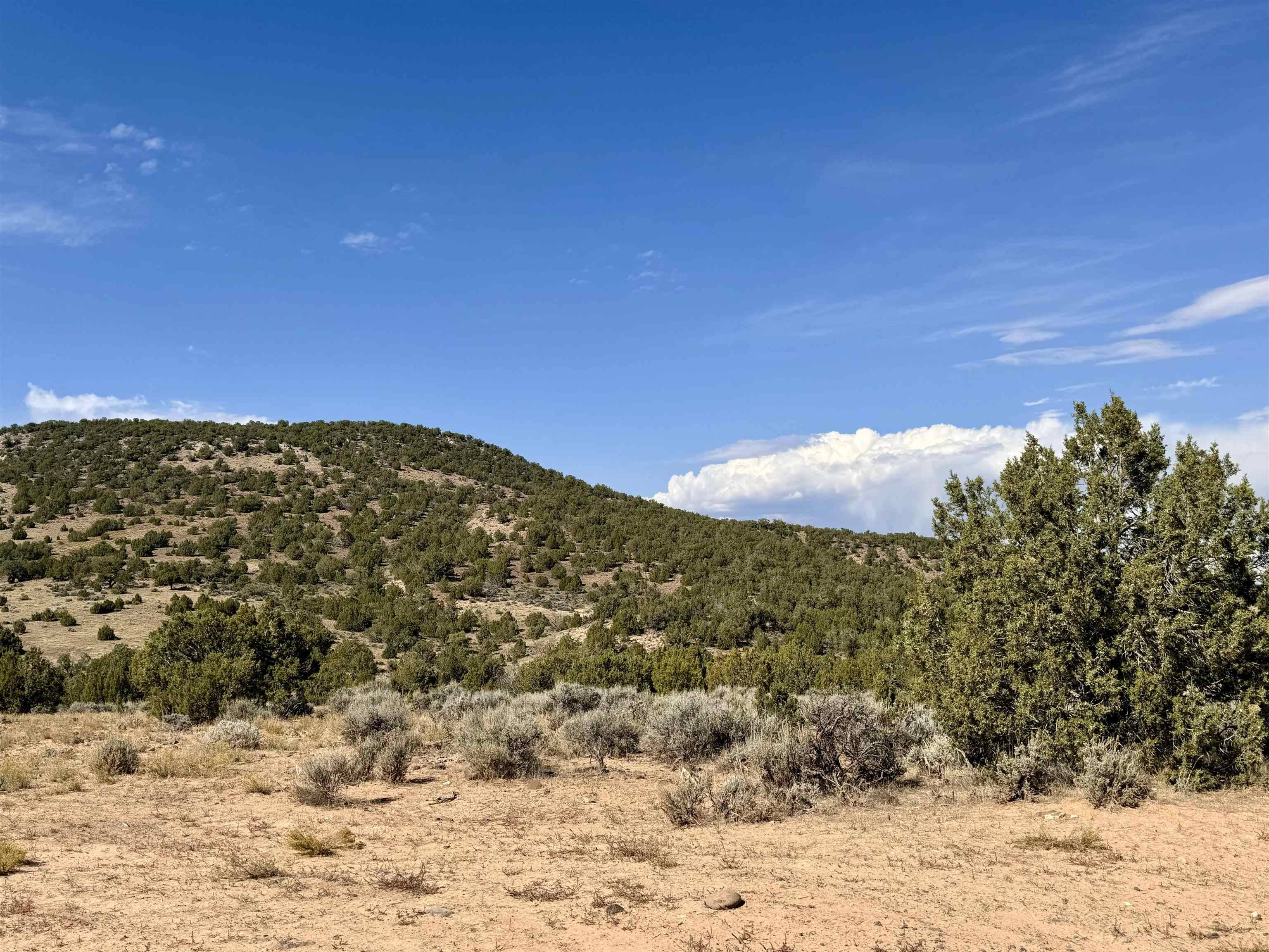 De Beque, CO 81630,TBD Horse Canyon Road #see assessors