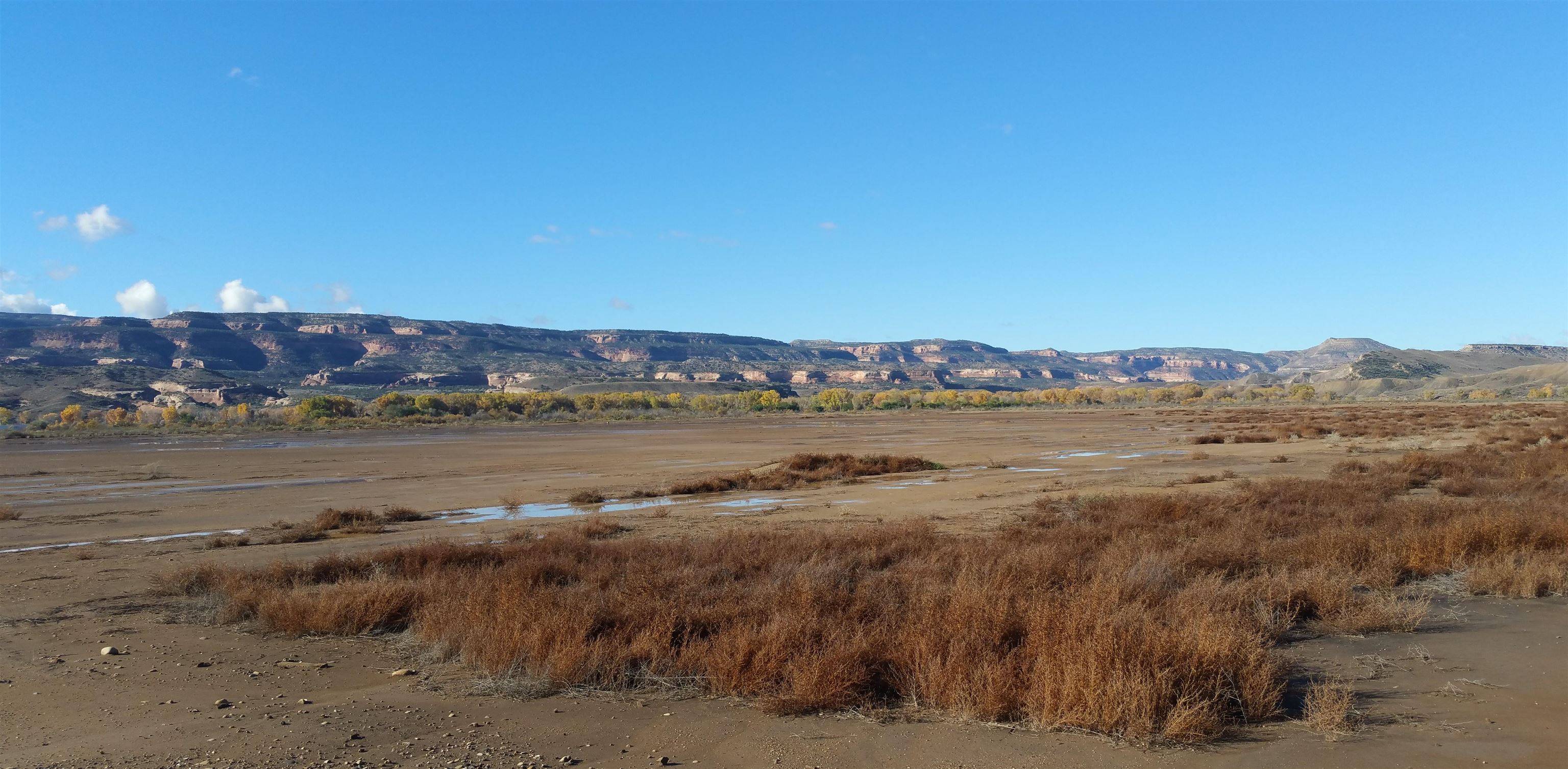 Loma, CO 81524,1165 15 Road #-