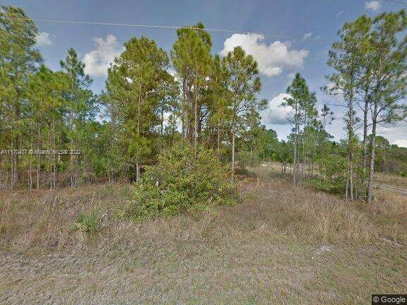 Lehigh Acres, FL 33920,2429 jetridge st