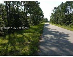 Sebring, FL 33872,4420 FETTUCCINE AVE