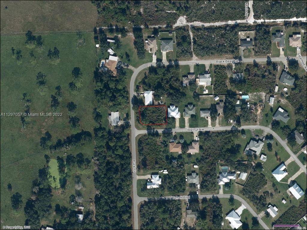 Lake Placid, FL 33852,1527 Buck St