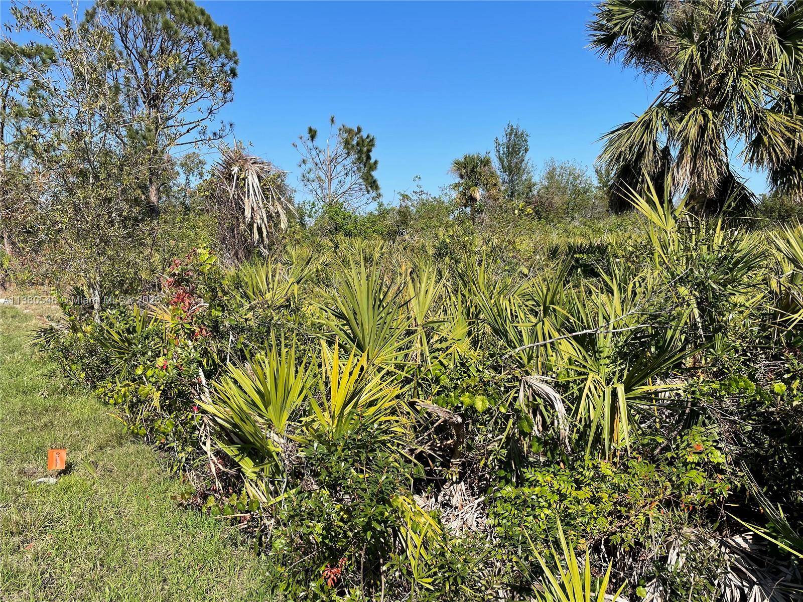 Port Charlotte, FL 33947,154 Smallwood Rd