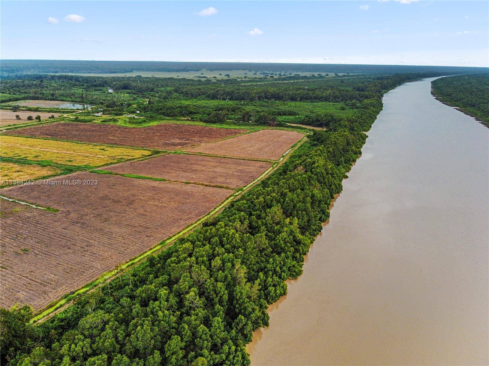 Suriname